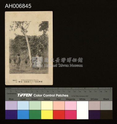蕃童弓術明信片 (大正年)藏品圖，第2張