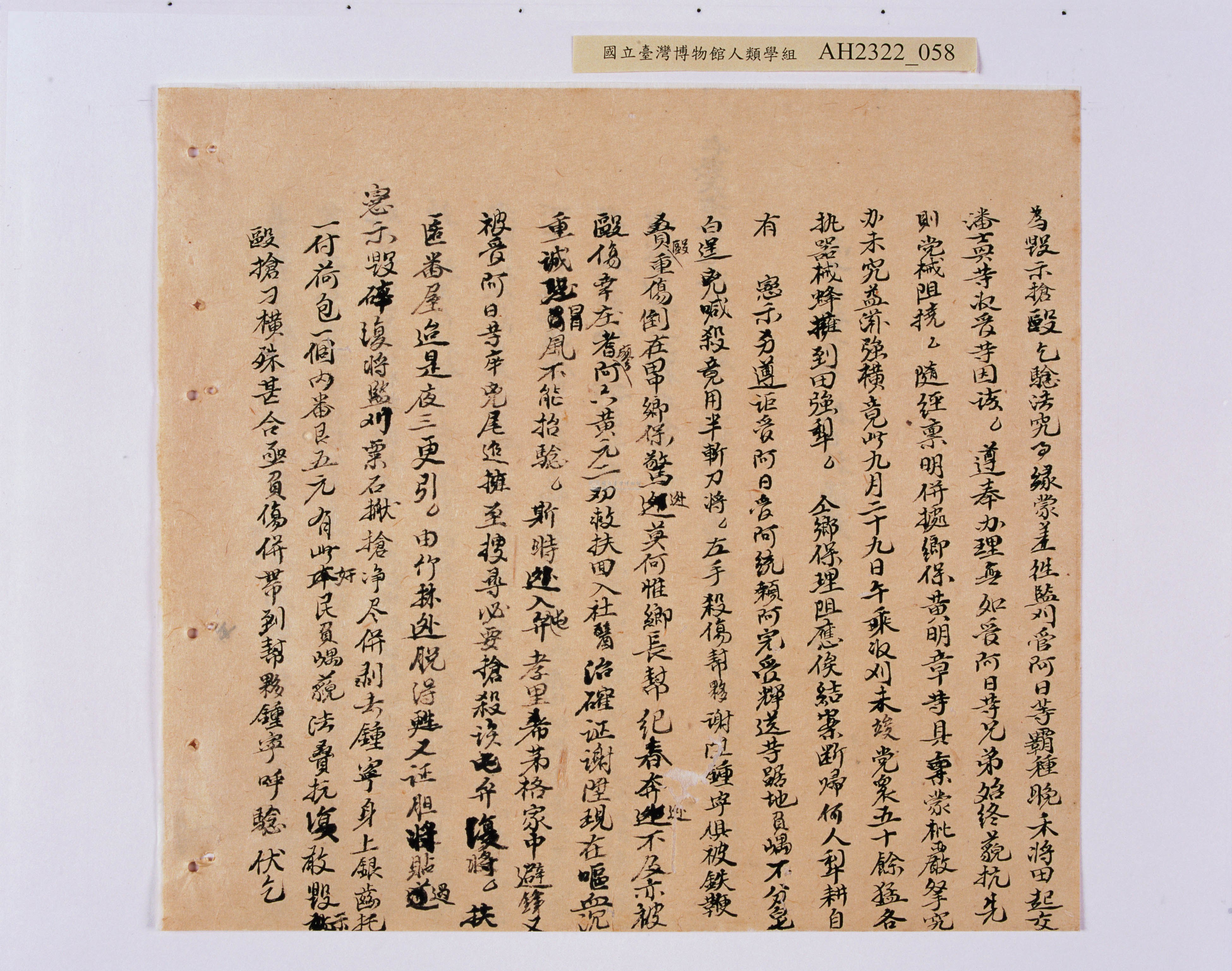 大圖瀏覽