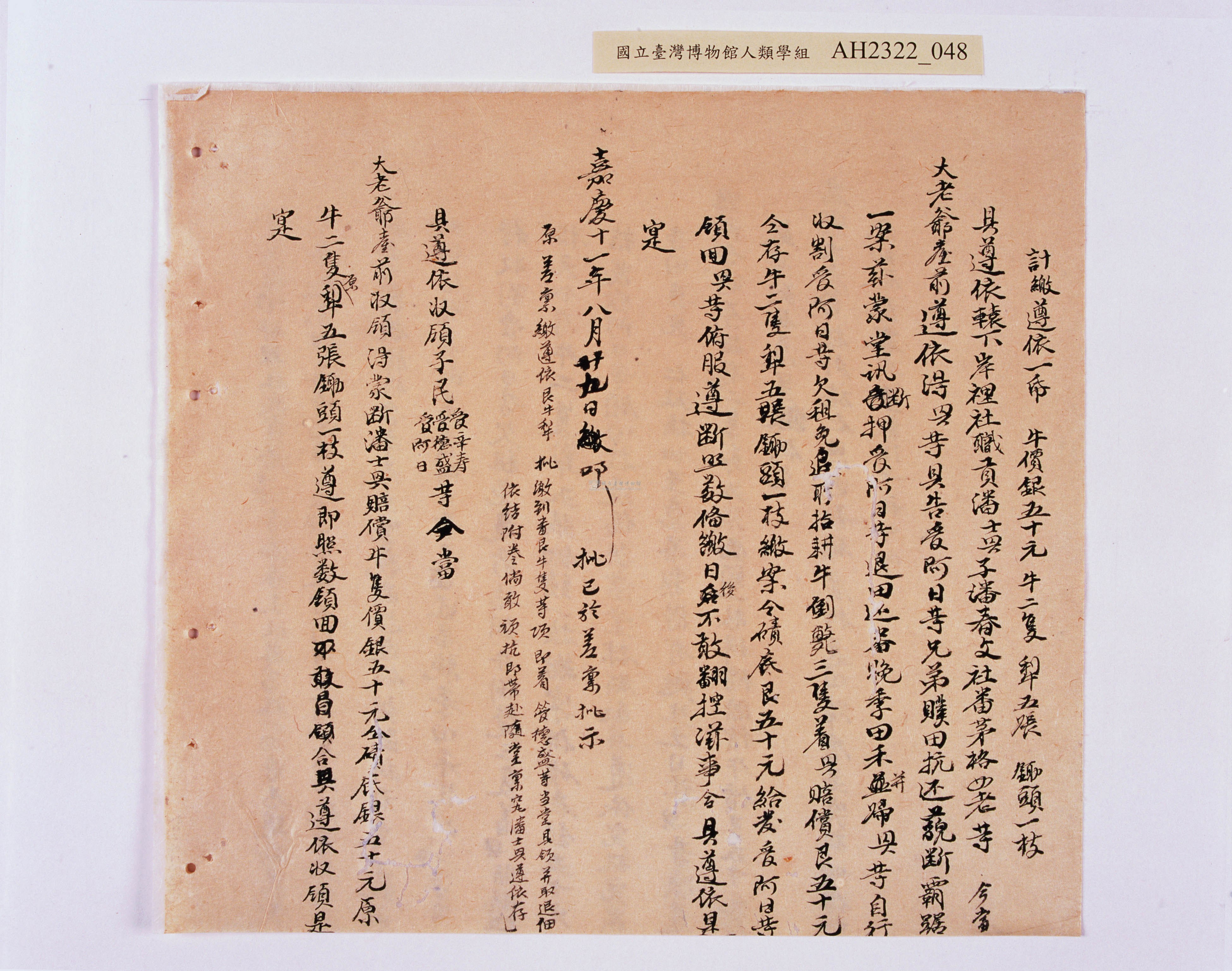 大圖瀏覽