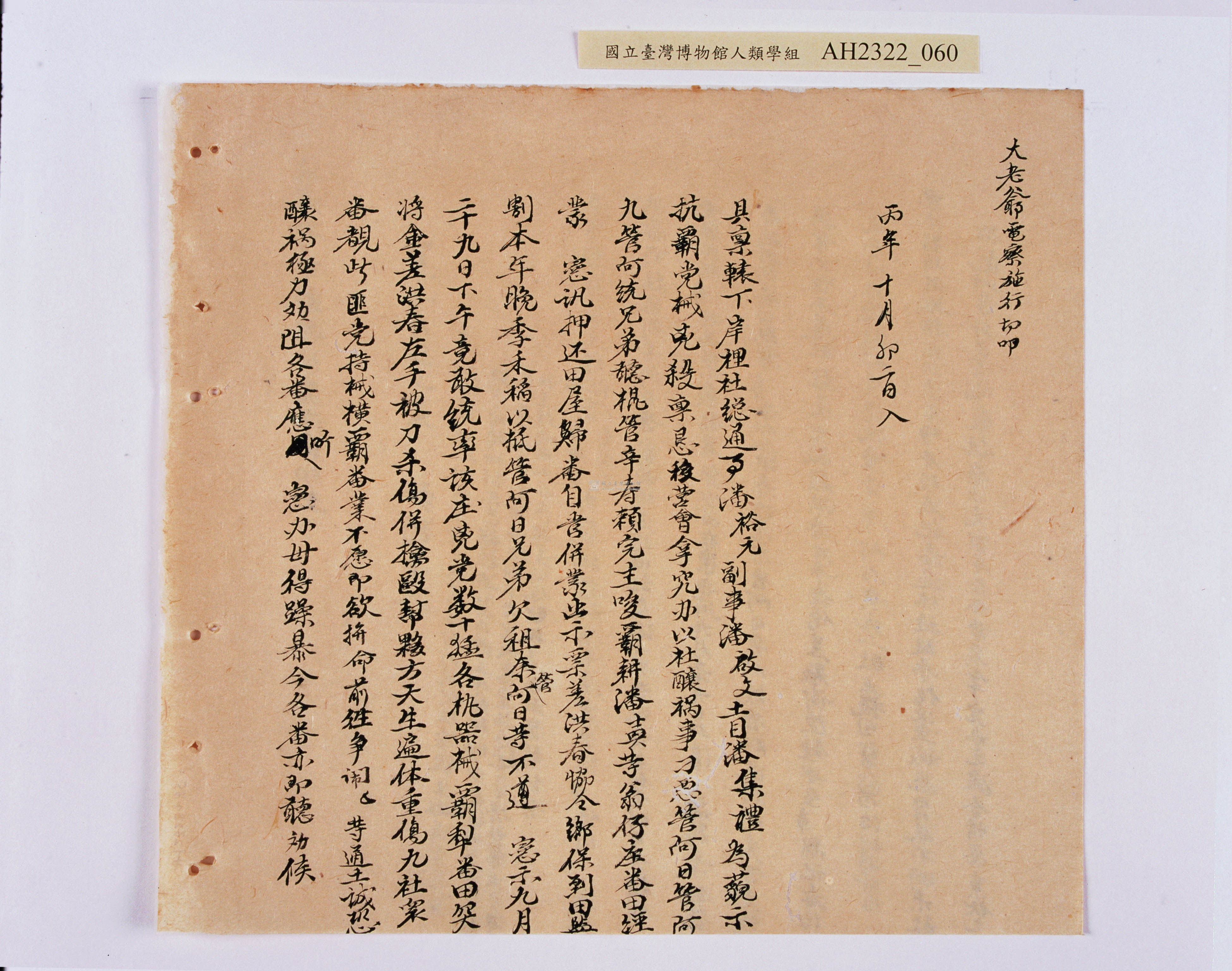 大圖瀏覽