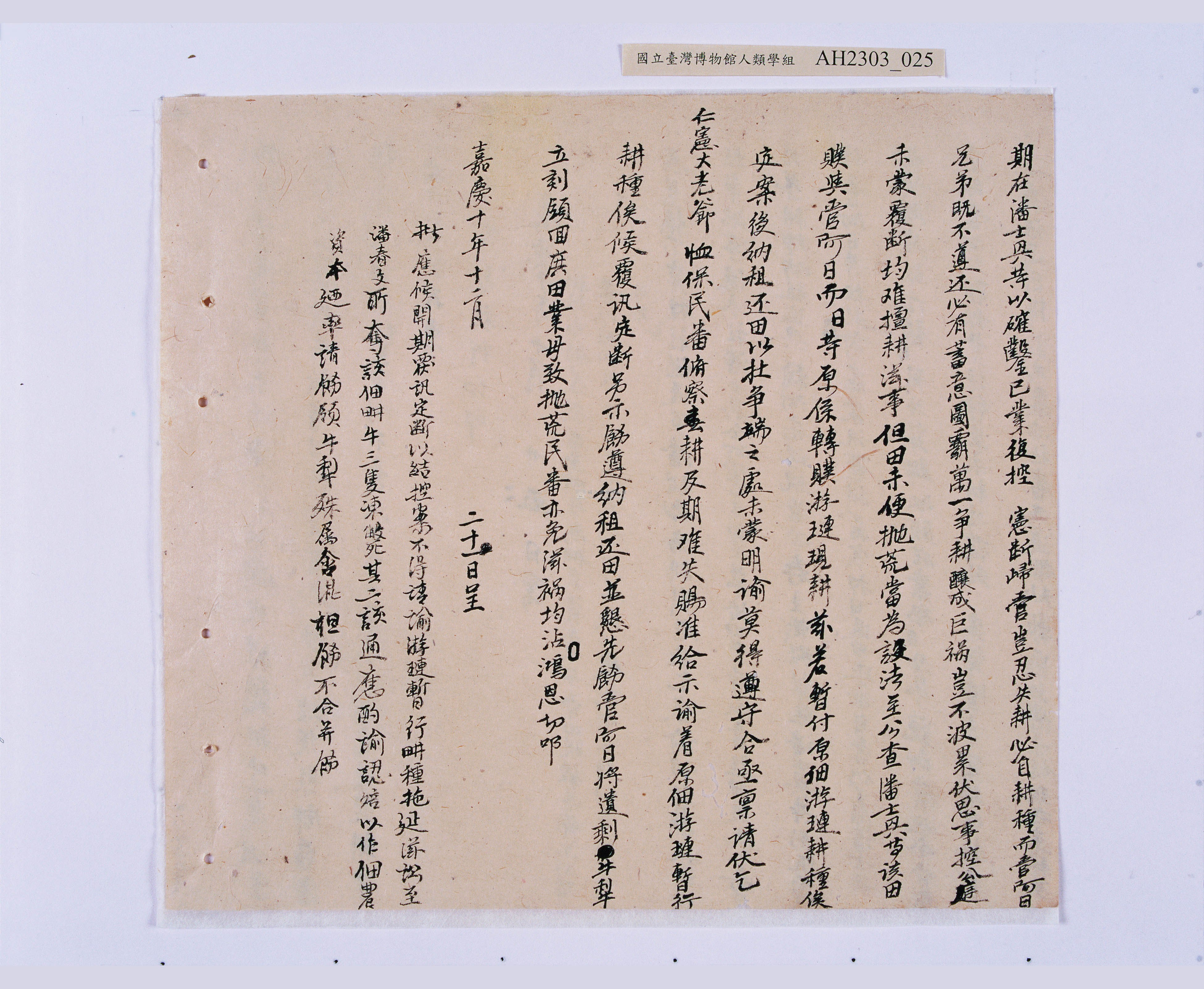 大圖瀏覽