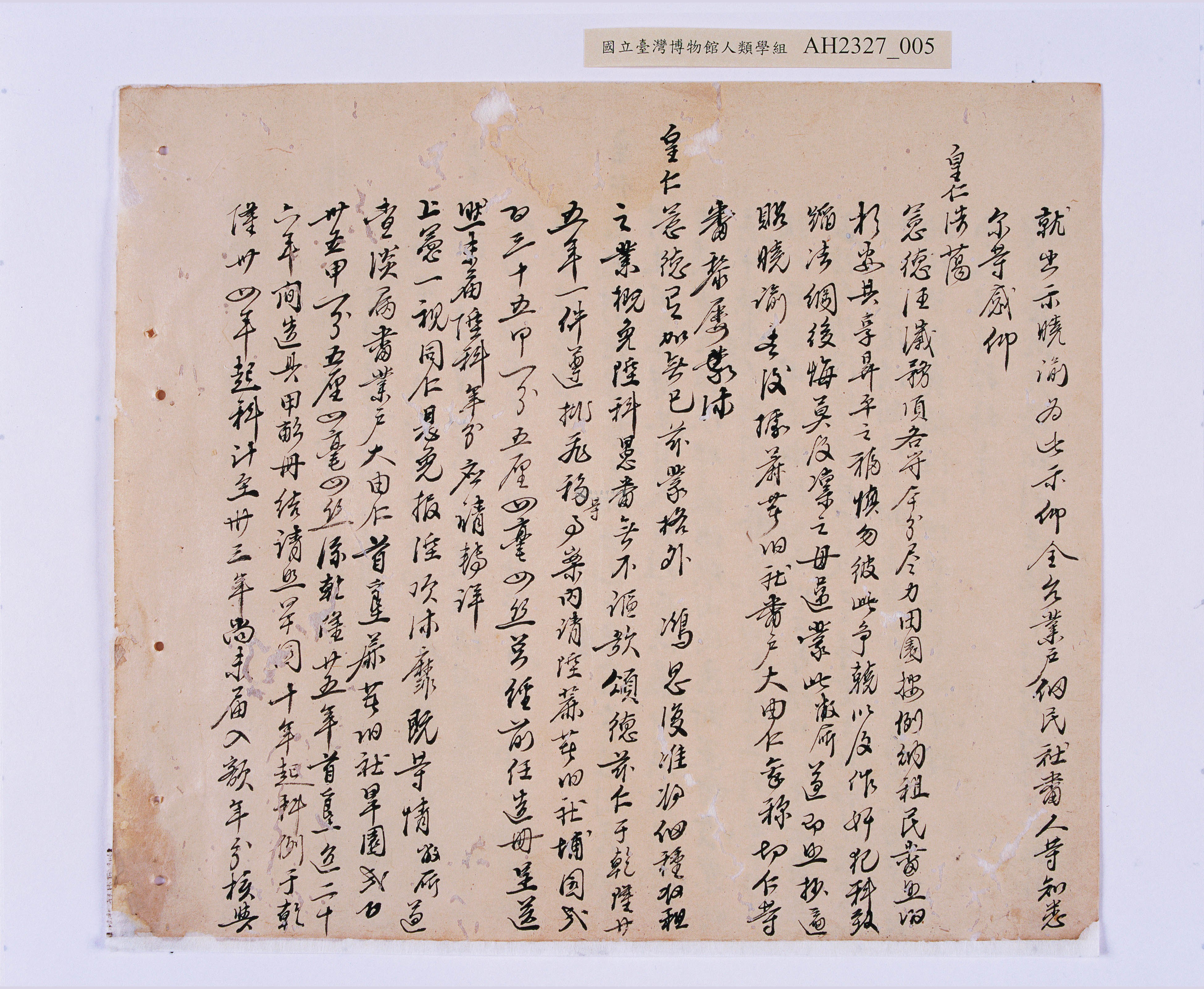 大圖瀏覽