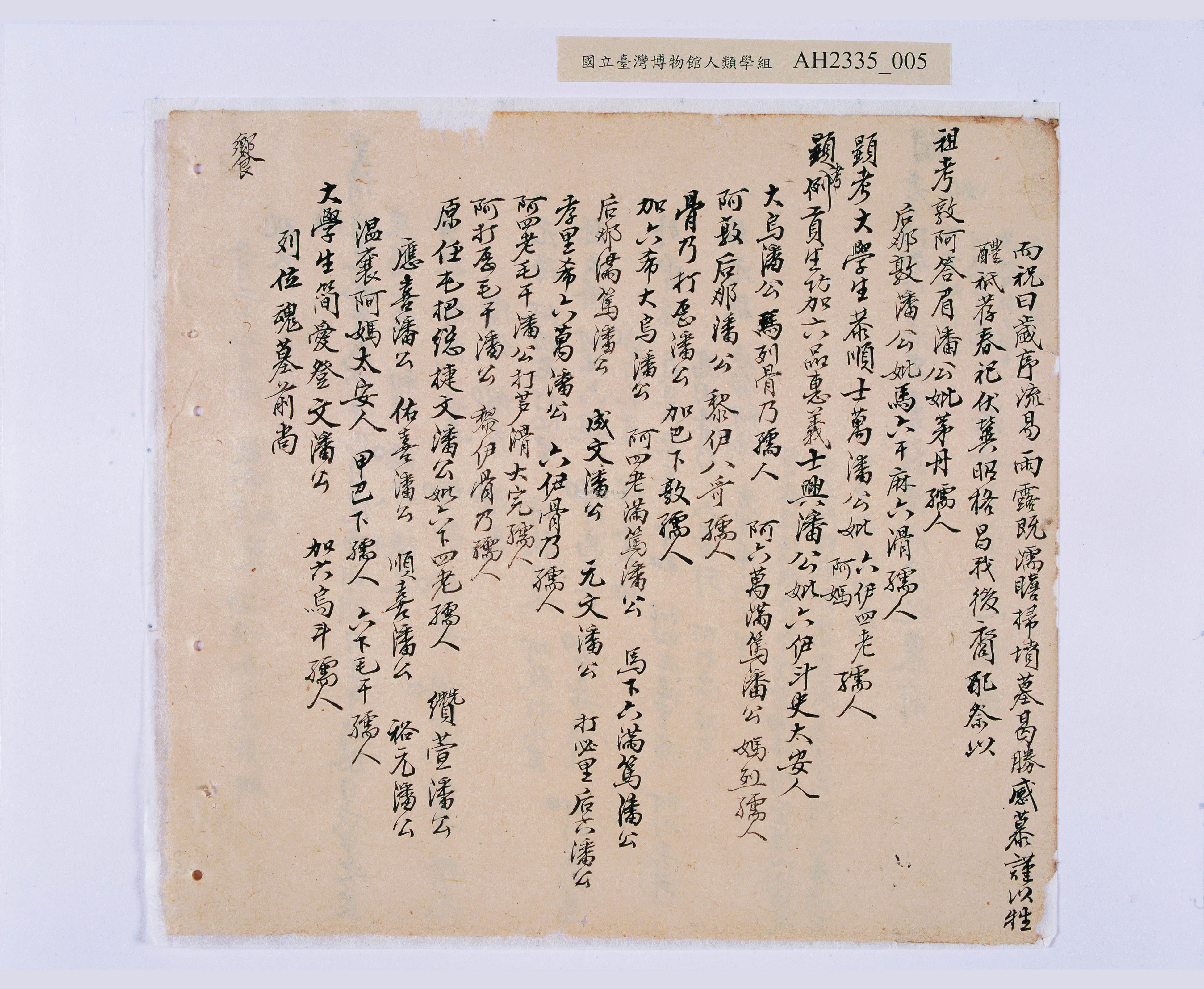 大圖瀏覽