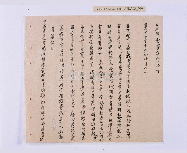 嘉慶十年～十一年（1805～1806）翁仔社佃人滯租記錄藏品圖，第10張