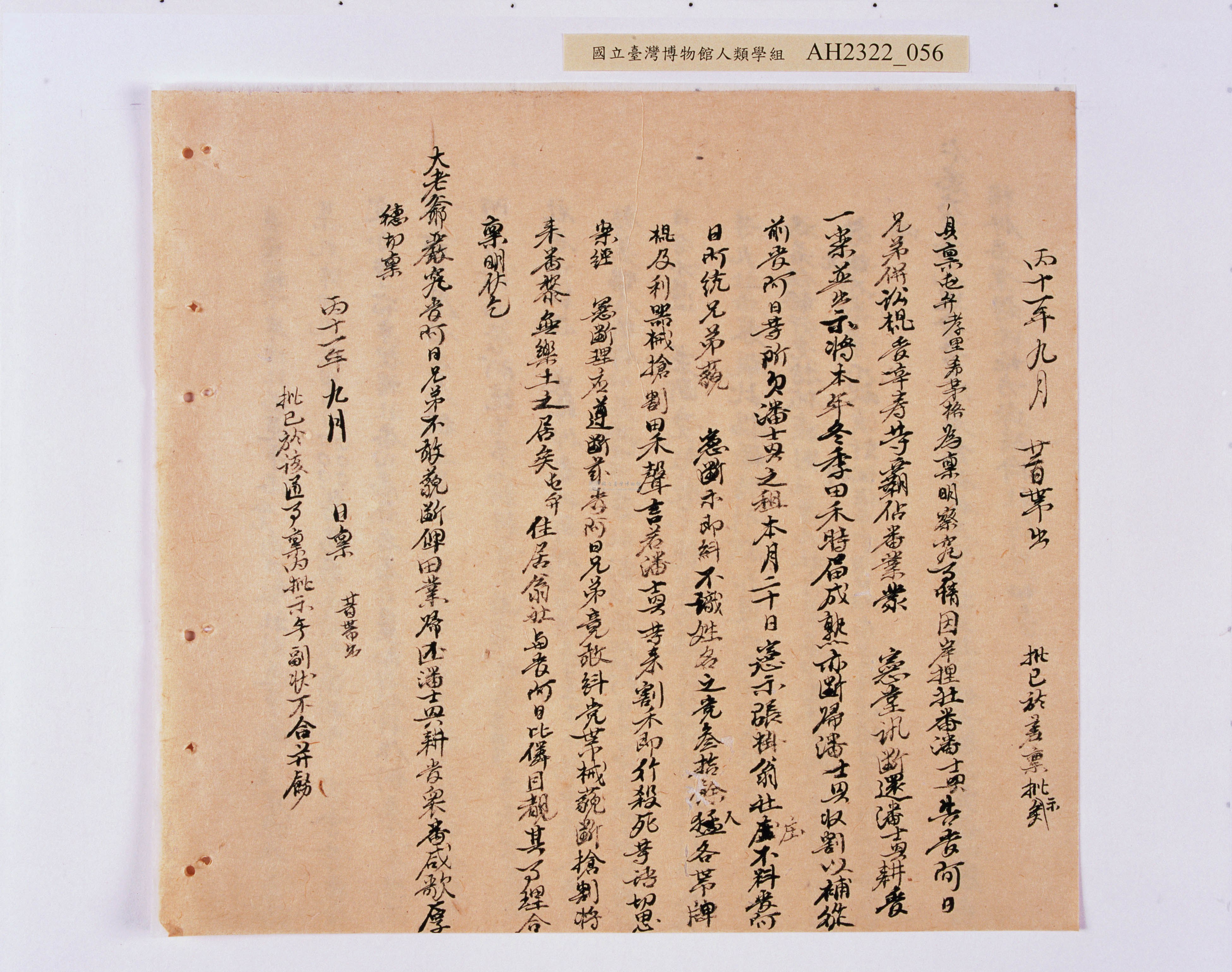 大圖瀏覽