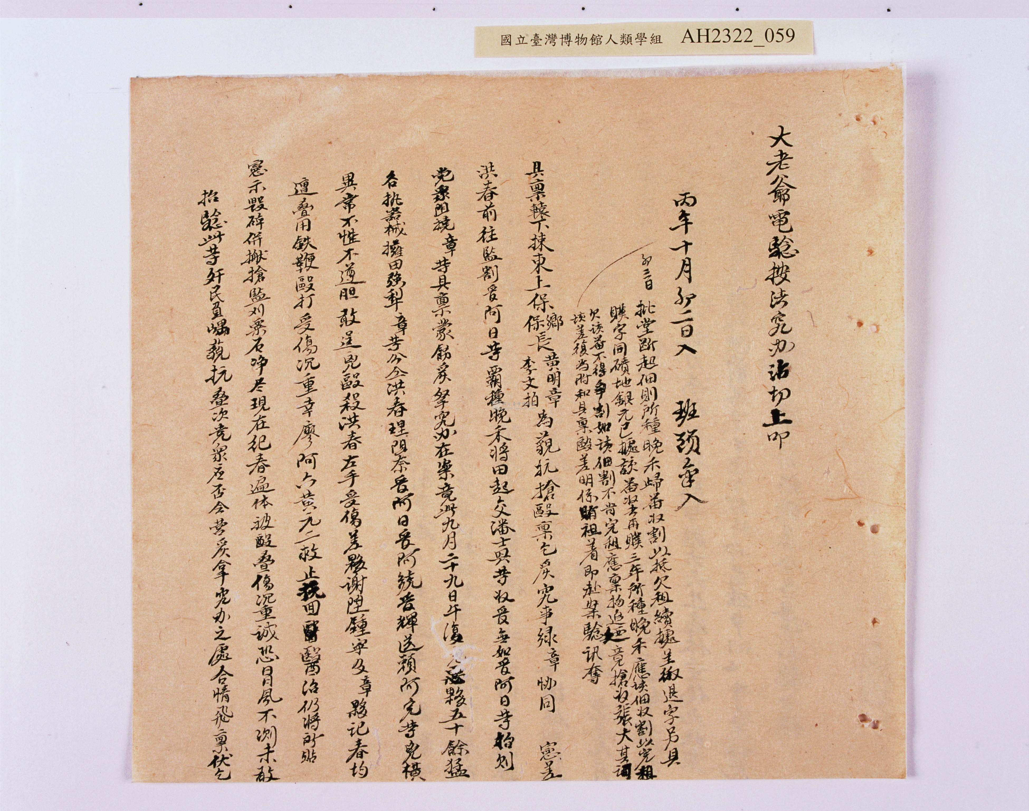 大圖瀏覽