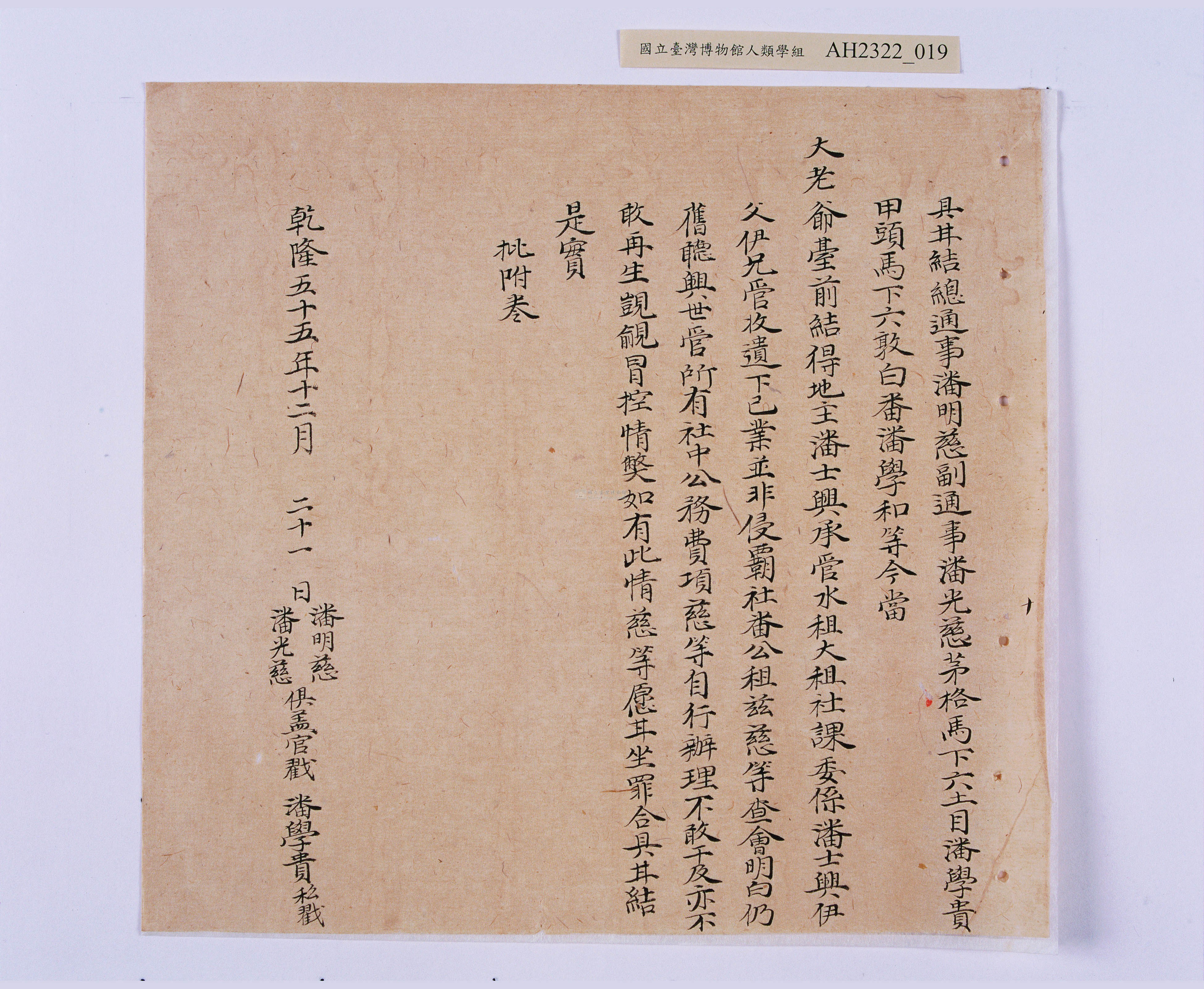大圖瀏覽