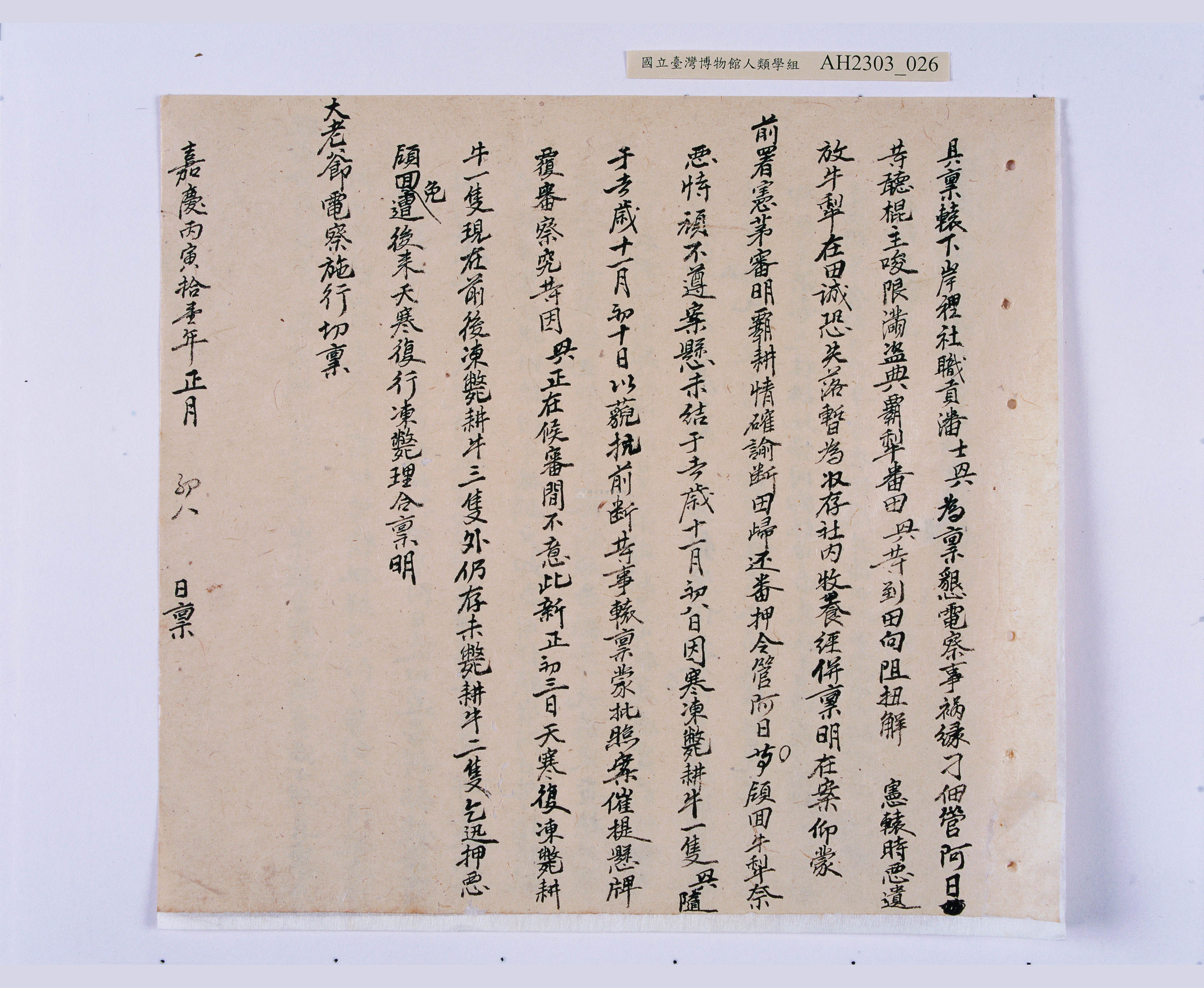 大圖瀏覽