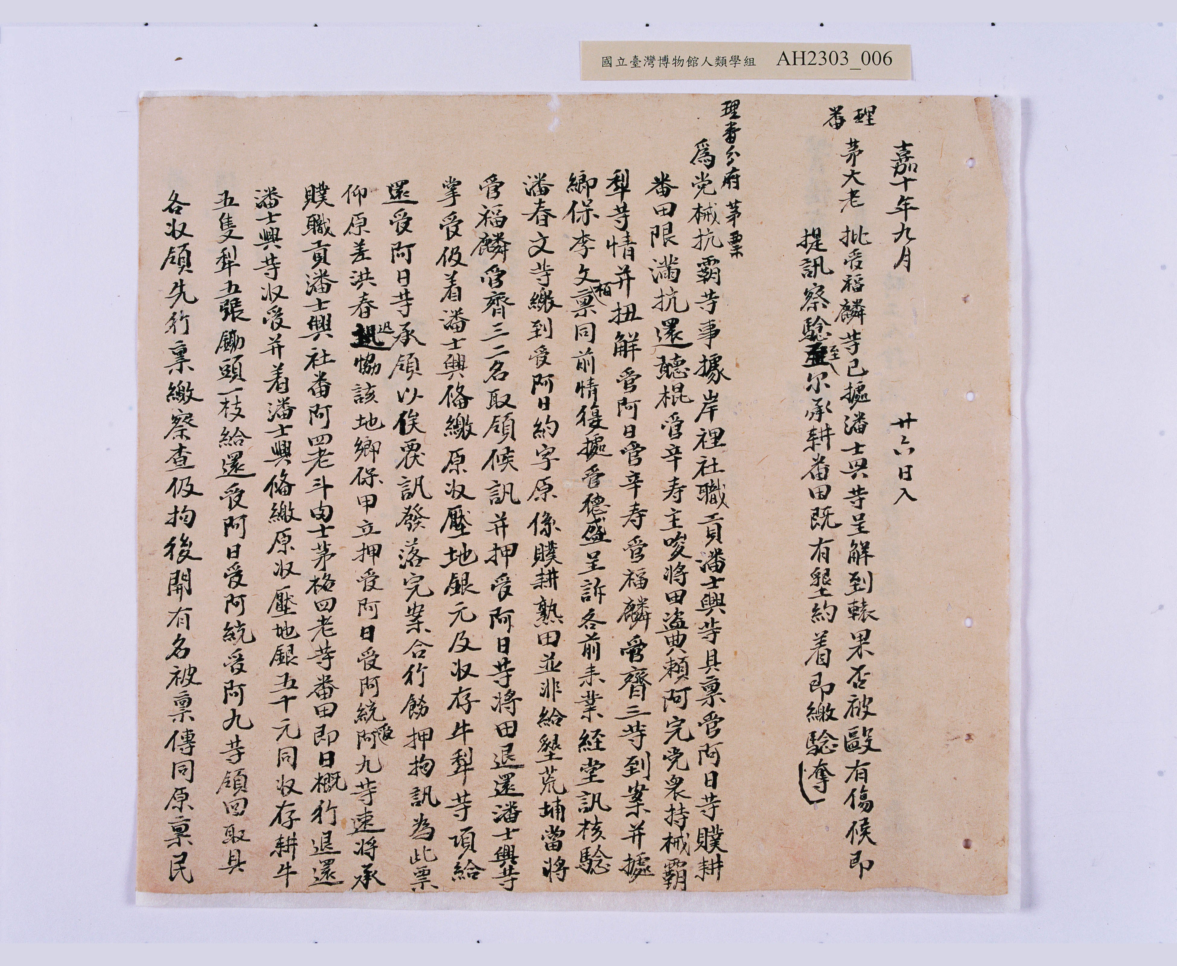 大圖瀏覽