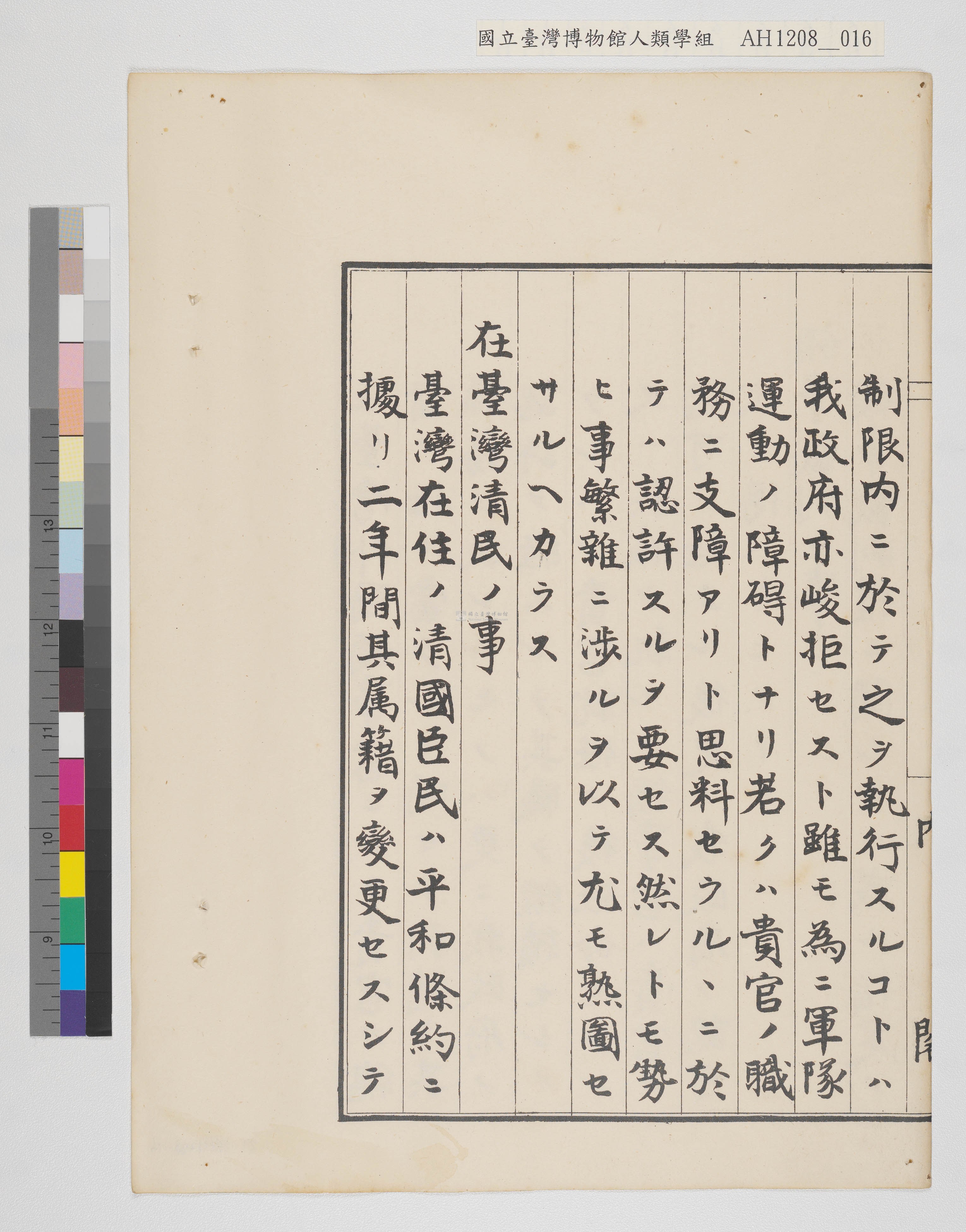 大圖瀏覽