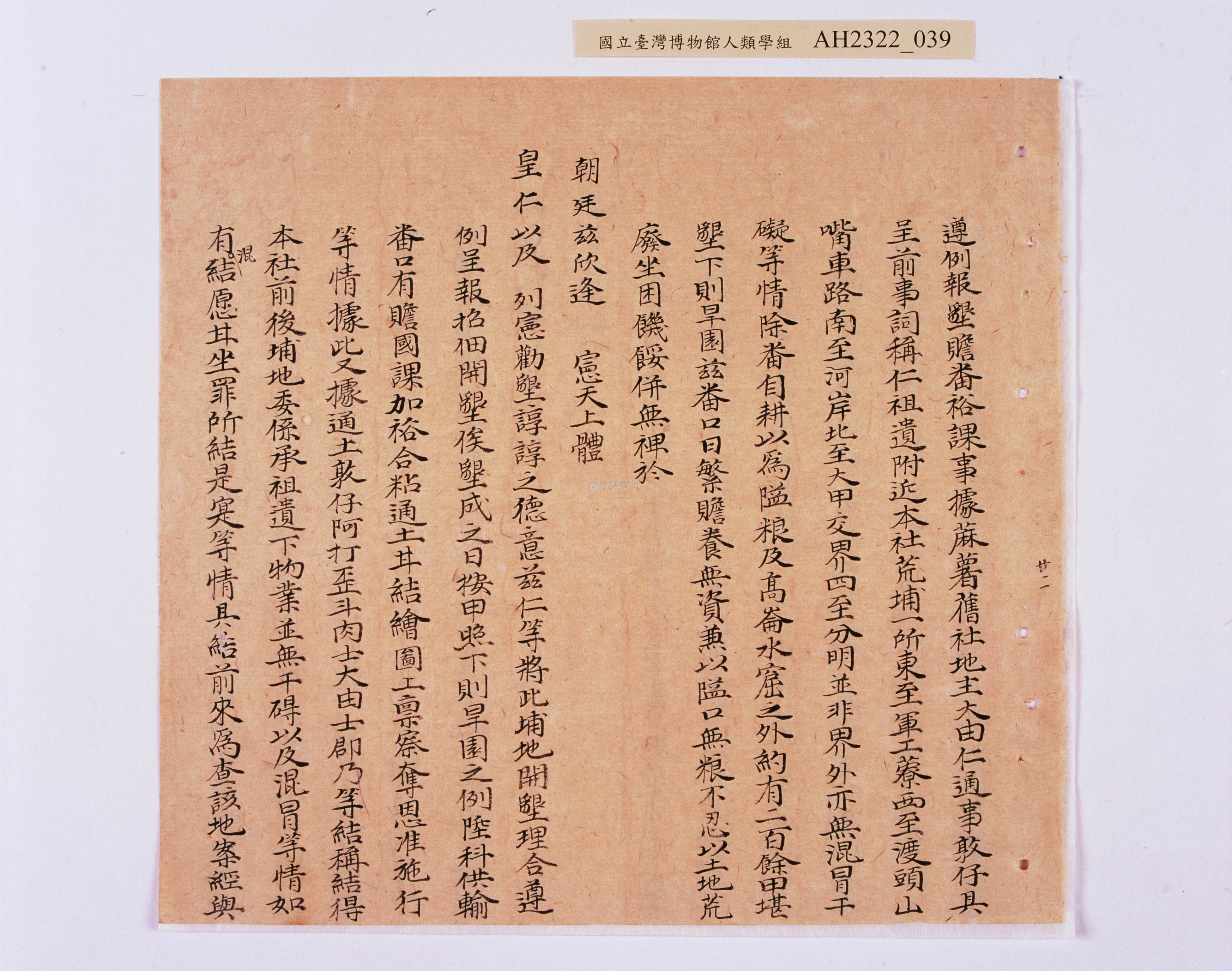 大圖瀏覽