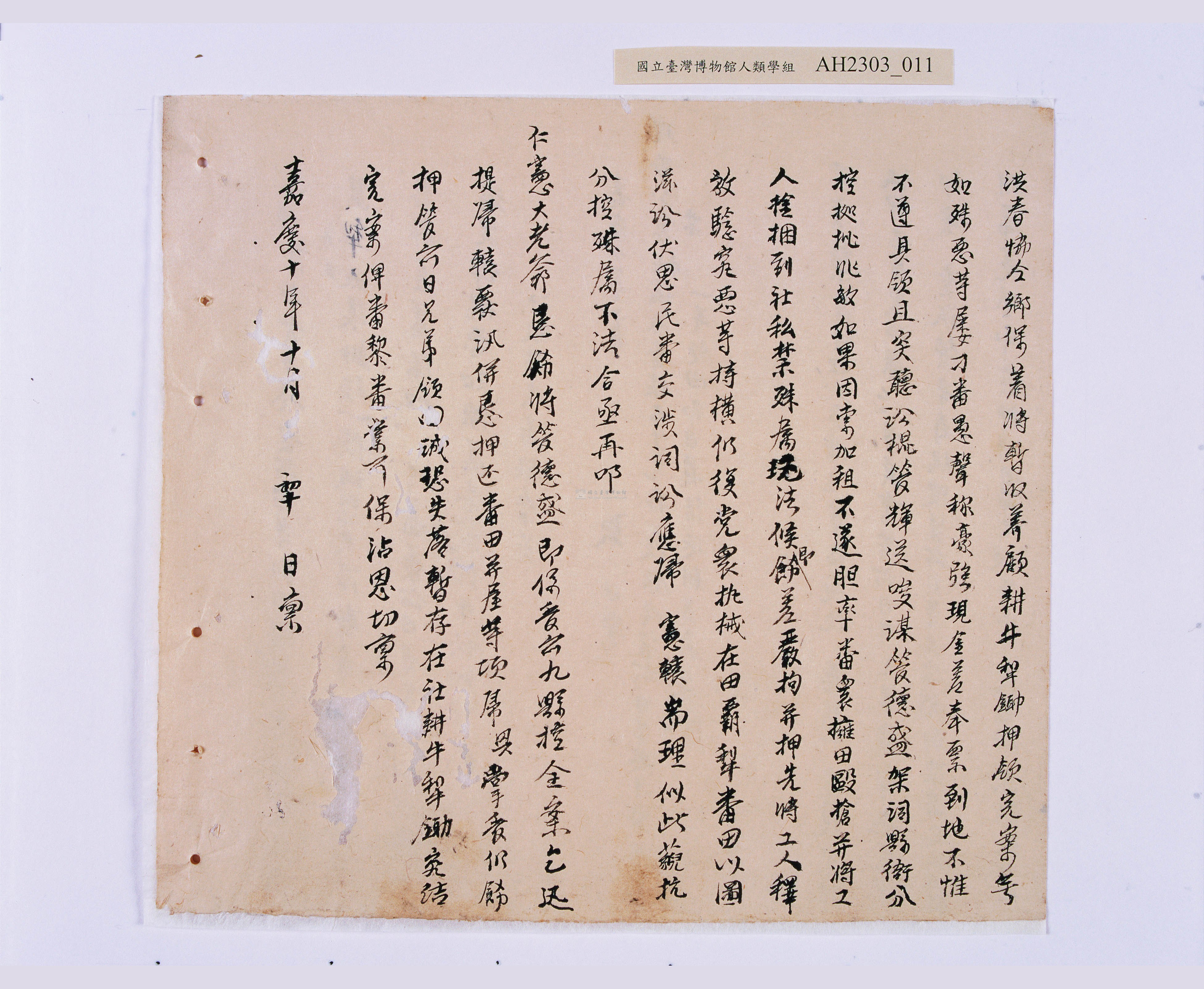 大圖瀏覽