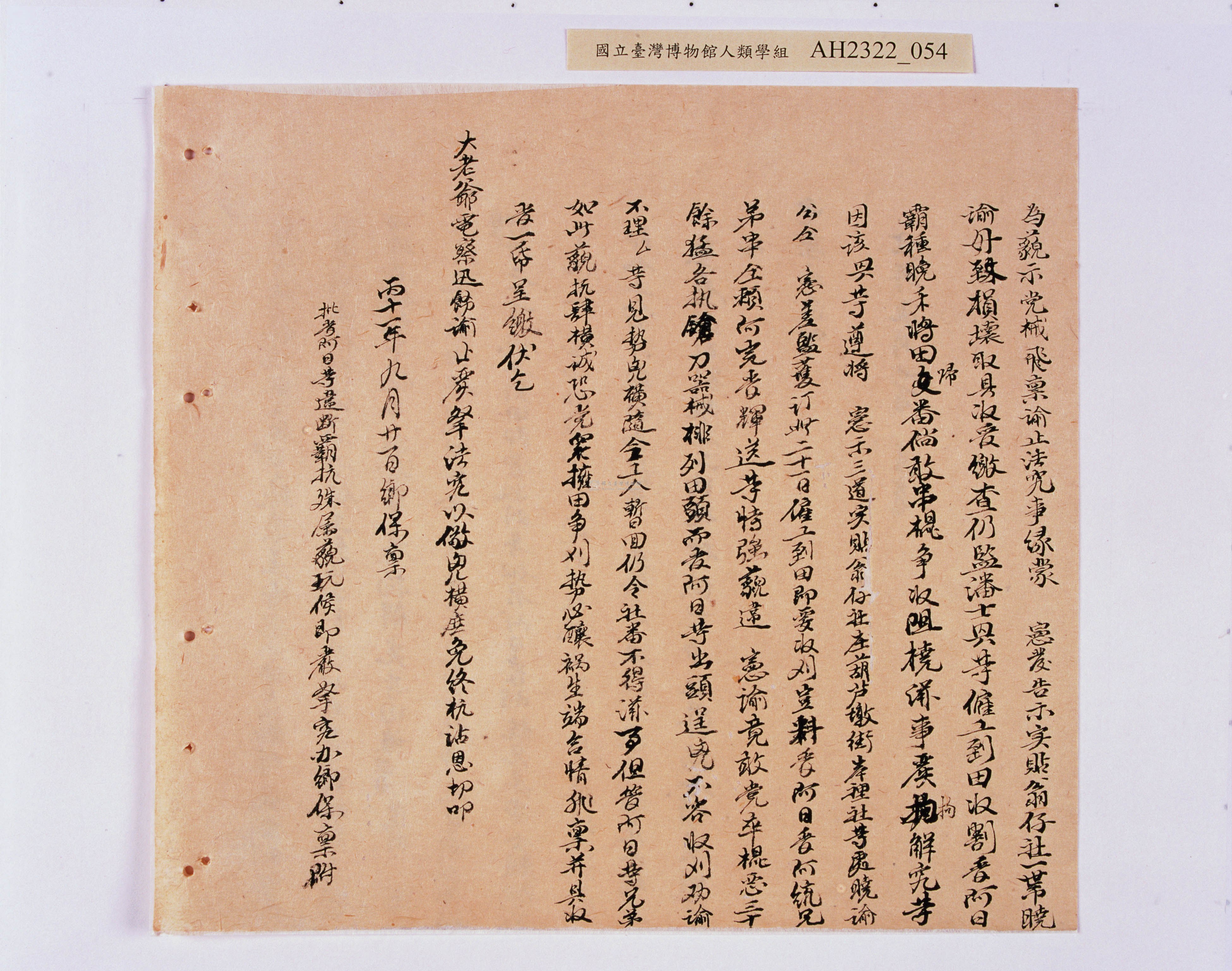大圖瀏覽