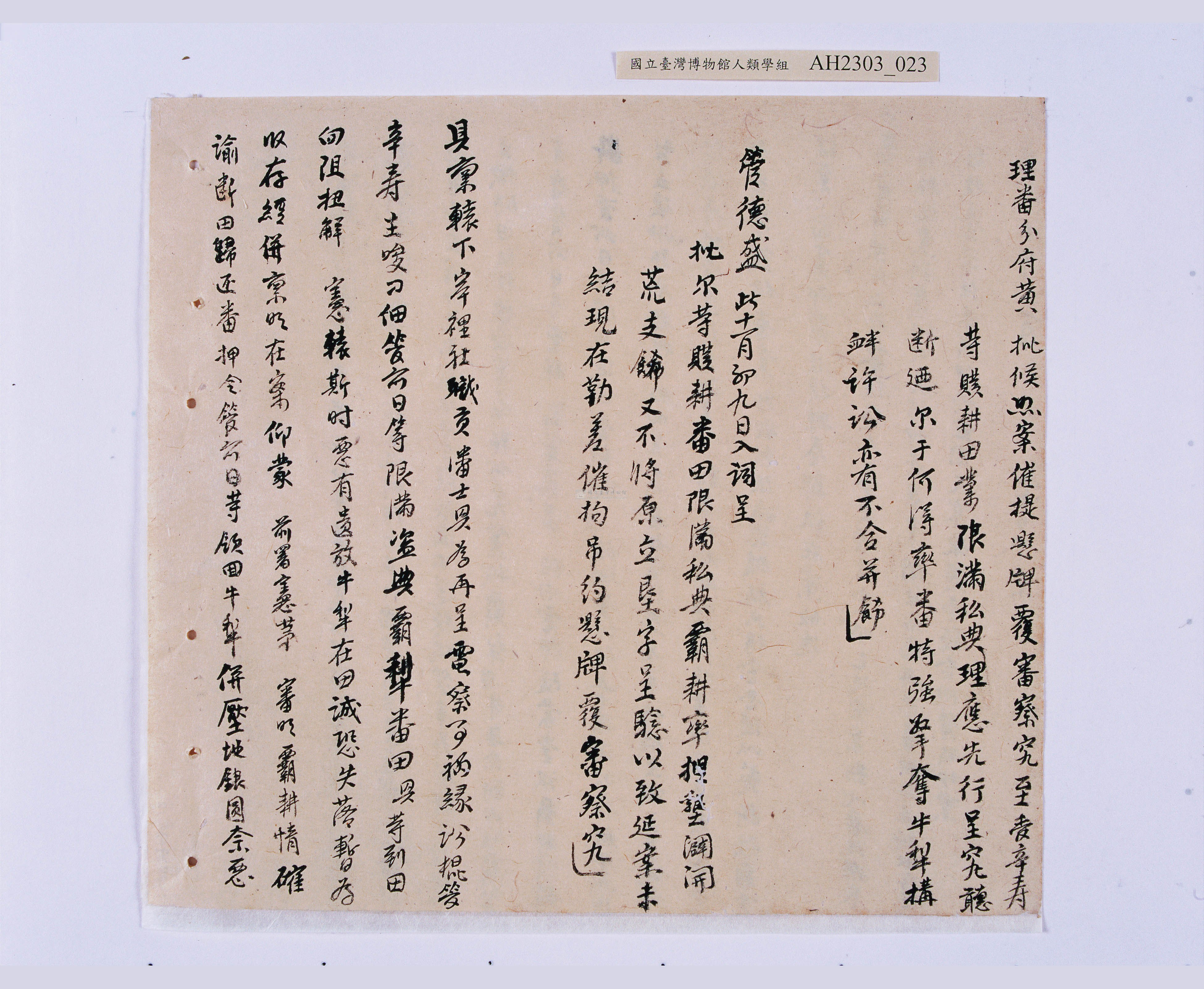 大圖瀏覽