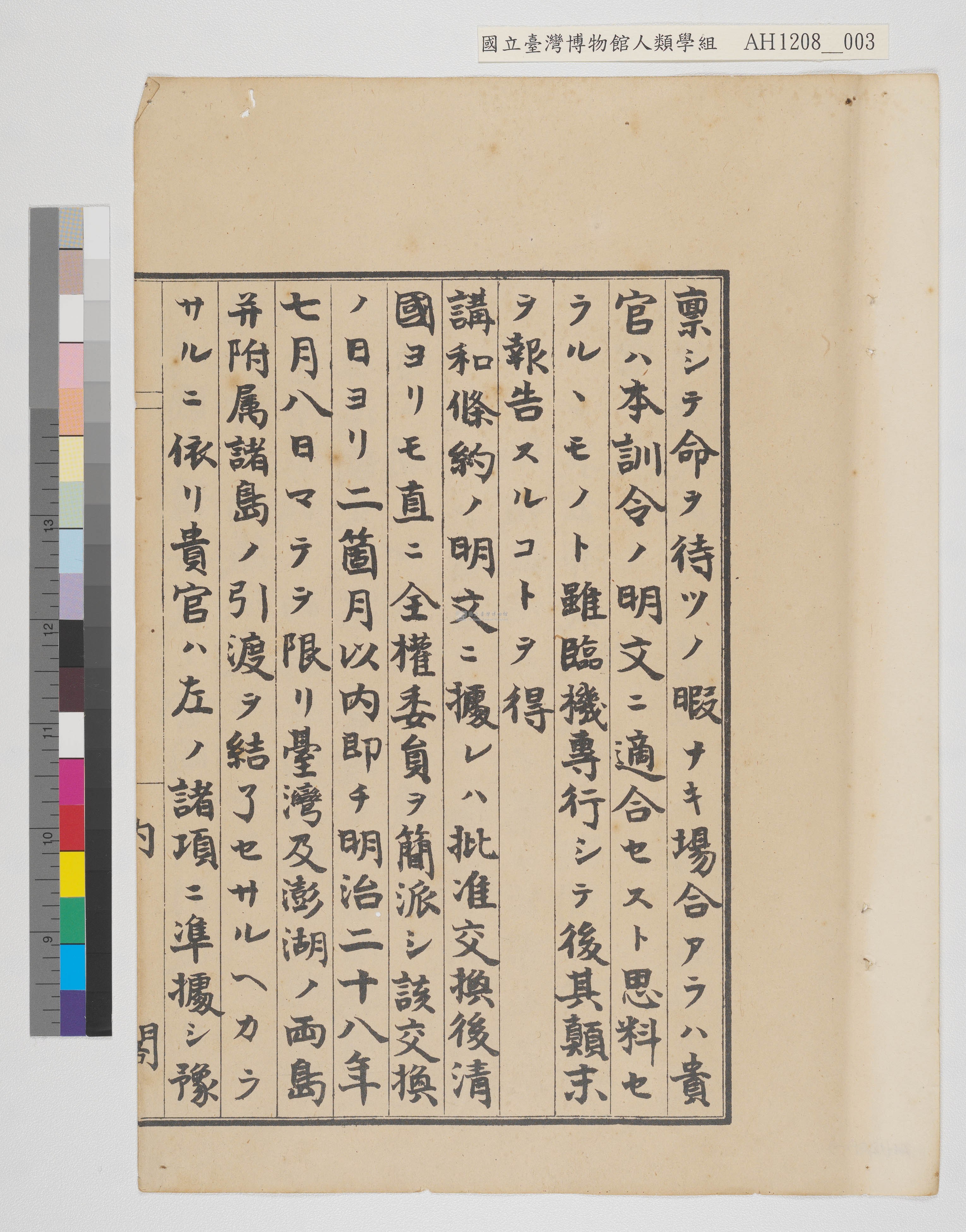 大圖瀏覽