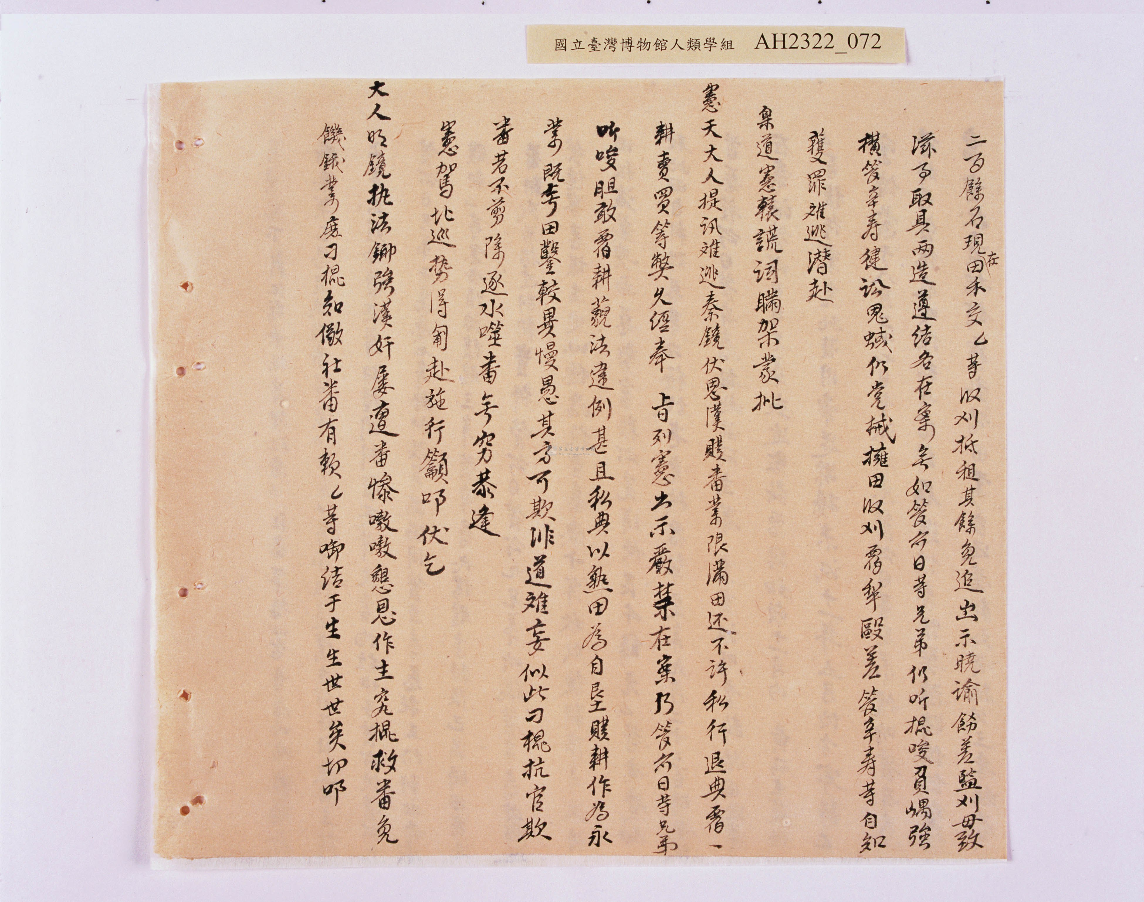 大圖瀏覽