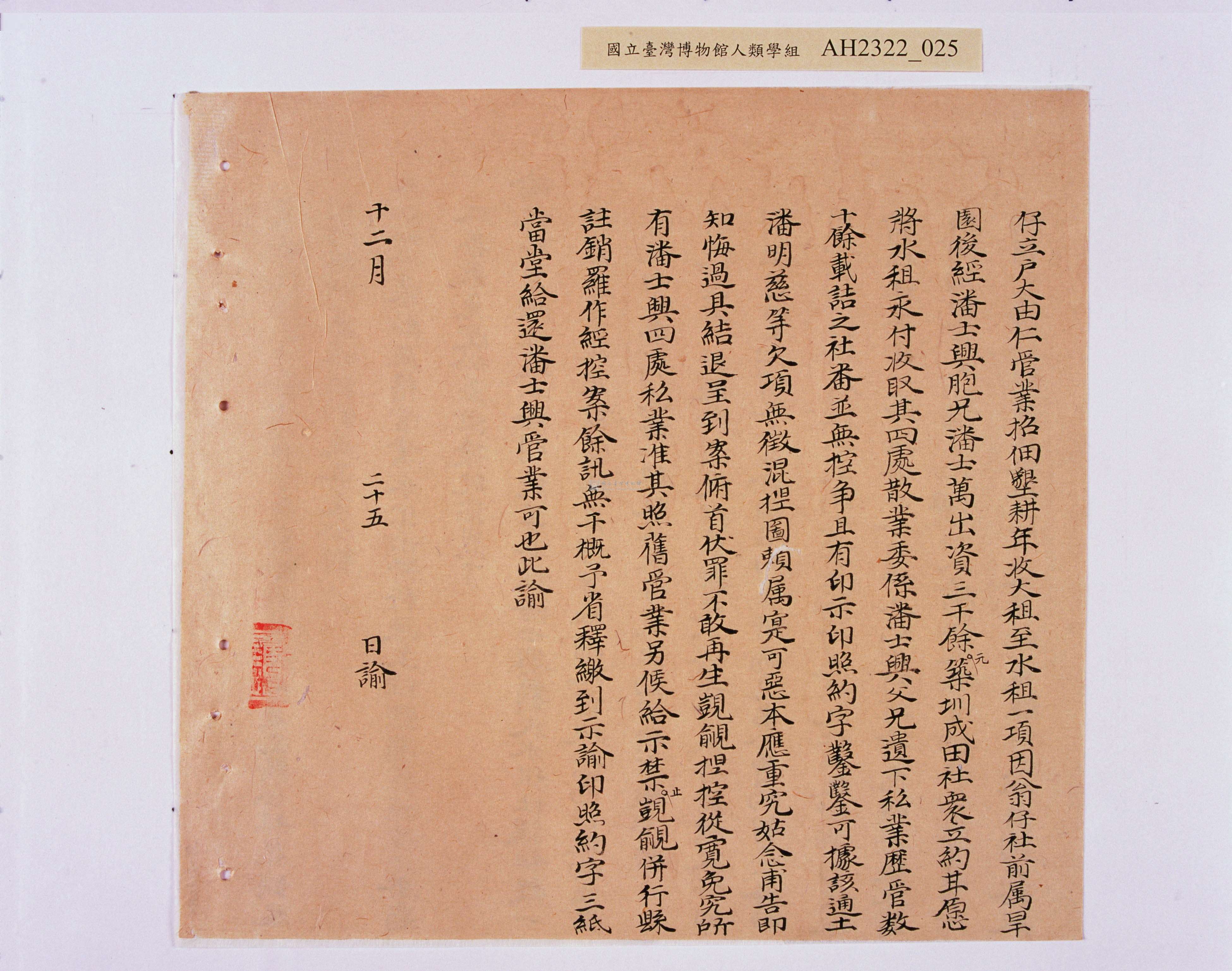 大圖瀏覽