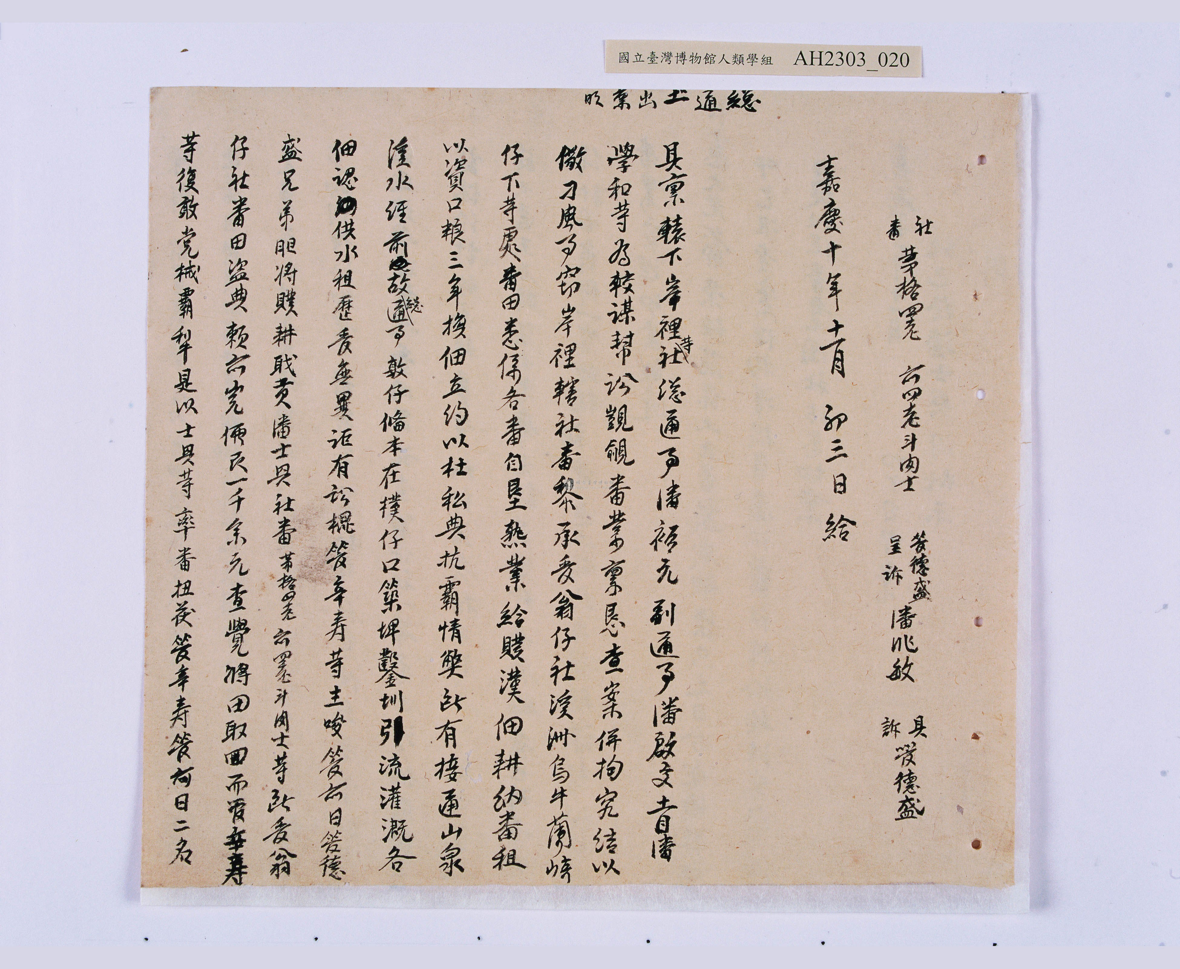 大圖瀏覽