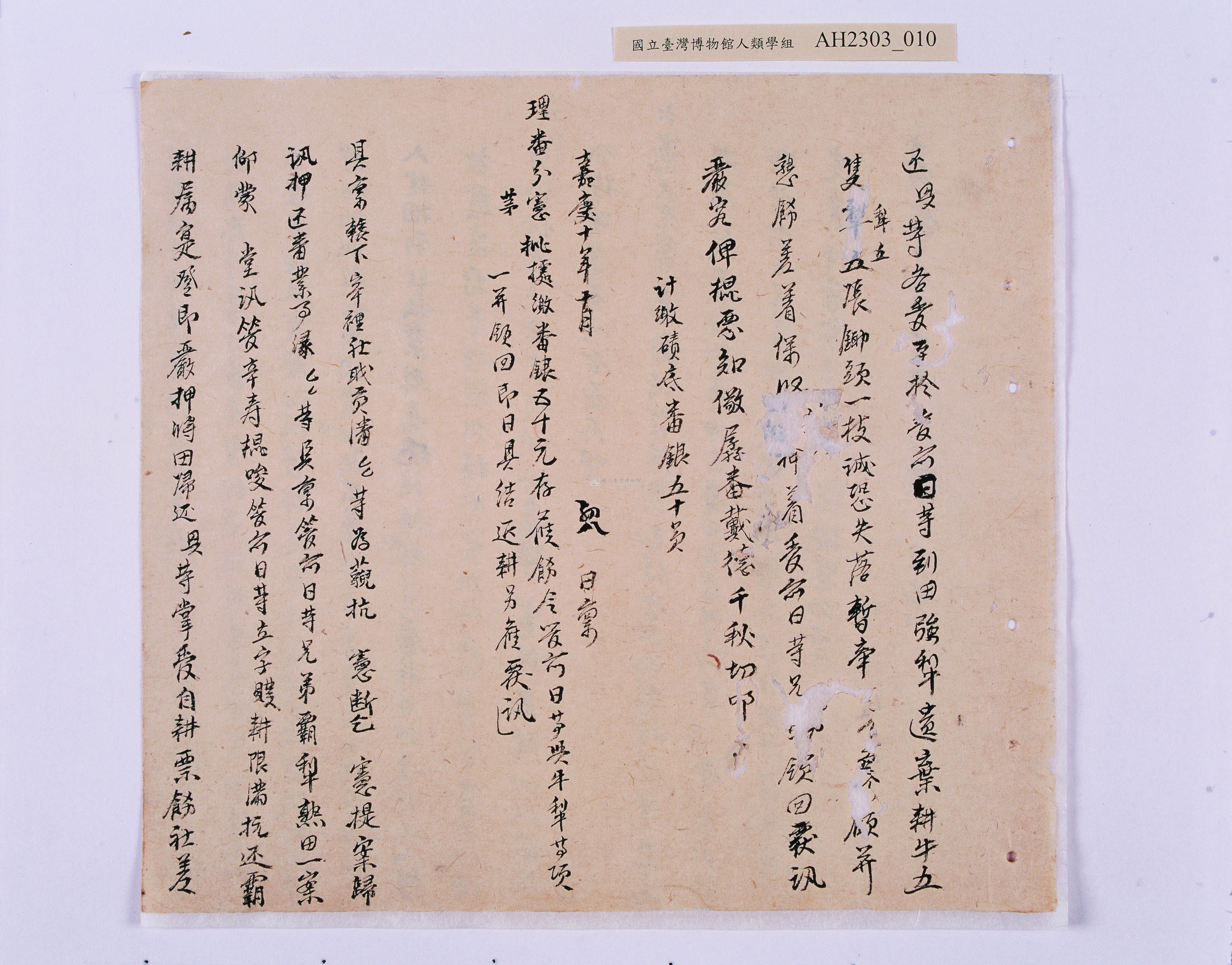 大圖瀏覽