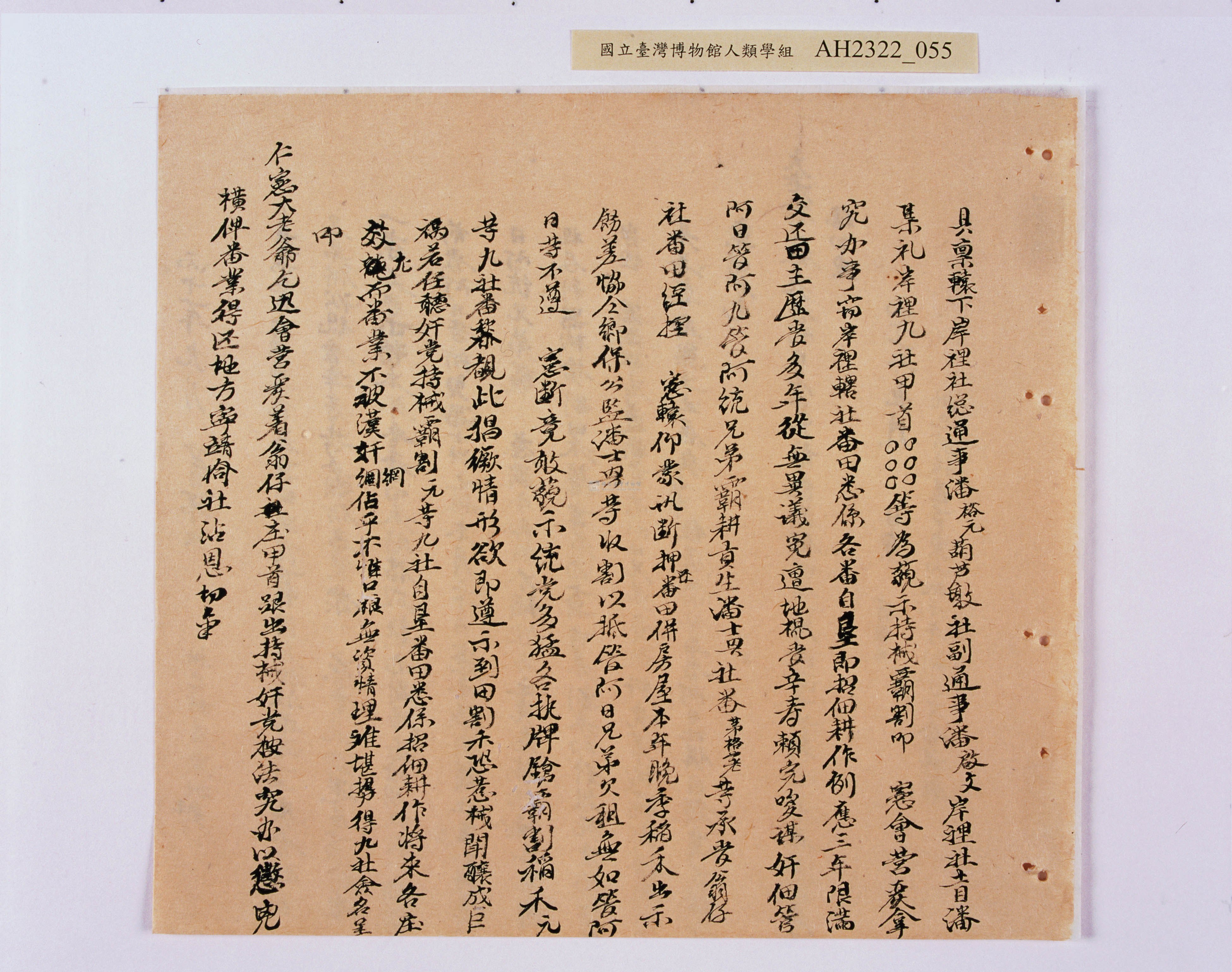 大圖瀏覽