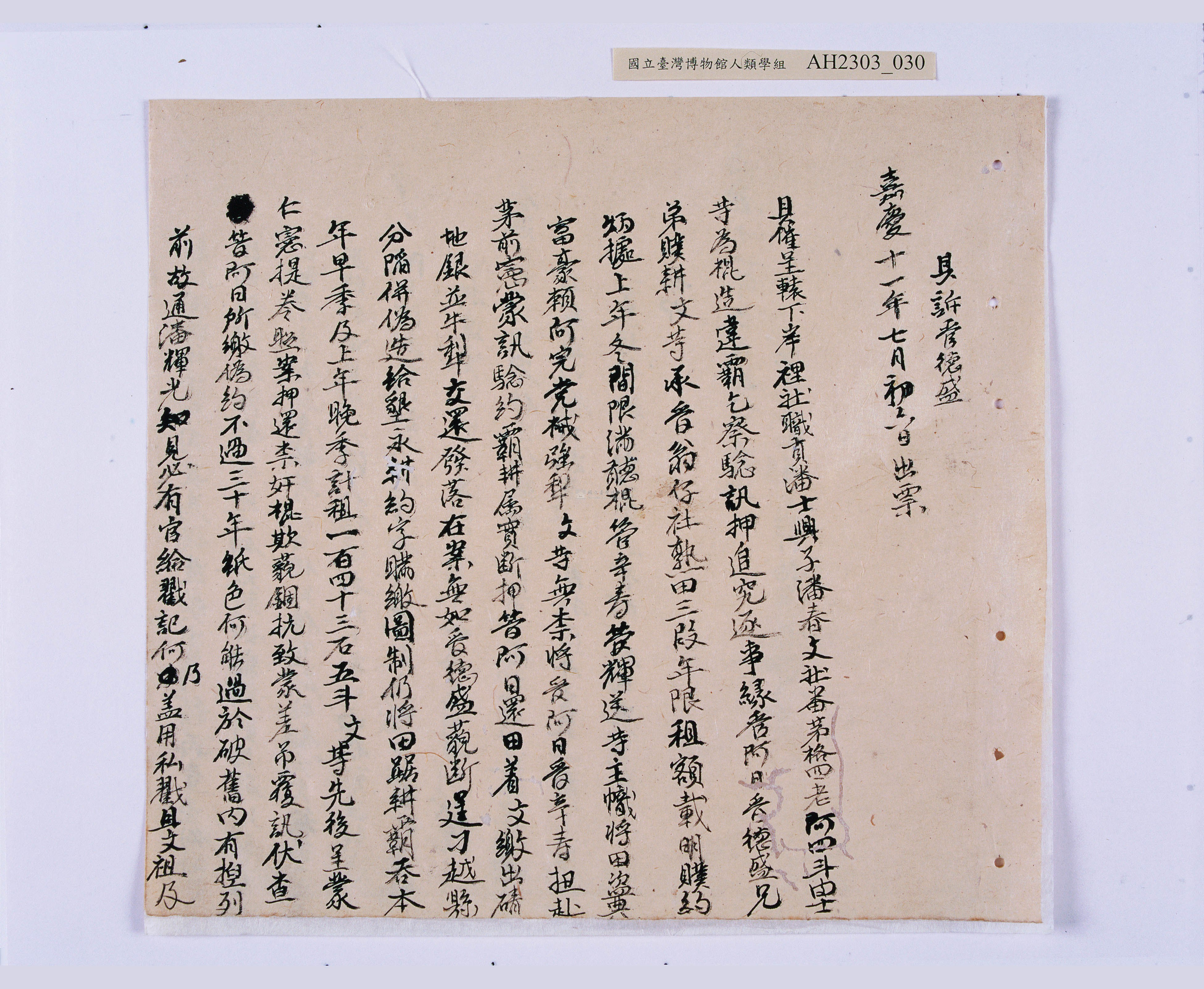 大圖瀏覽