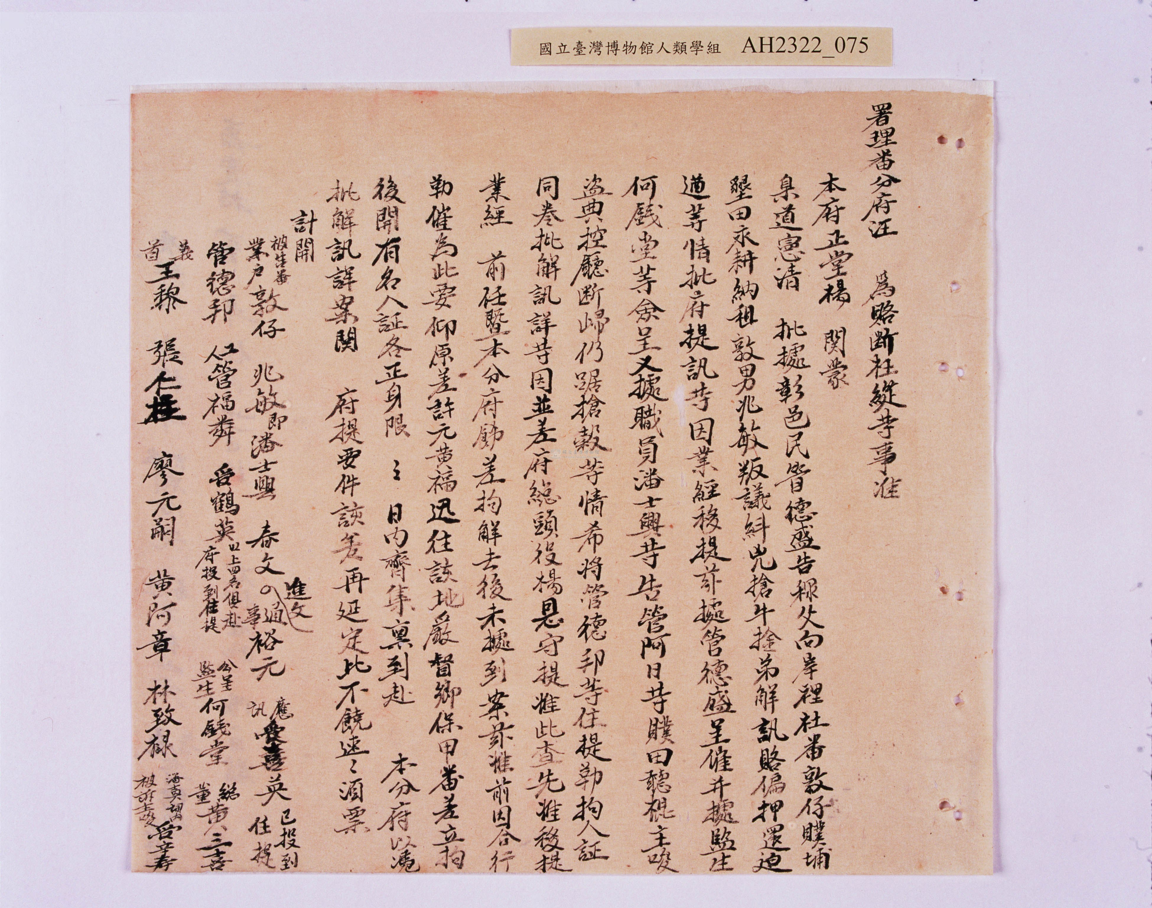 大圖瀏覽