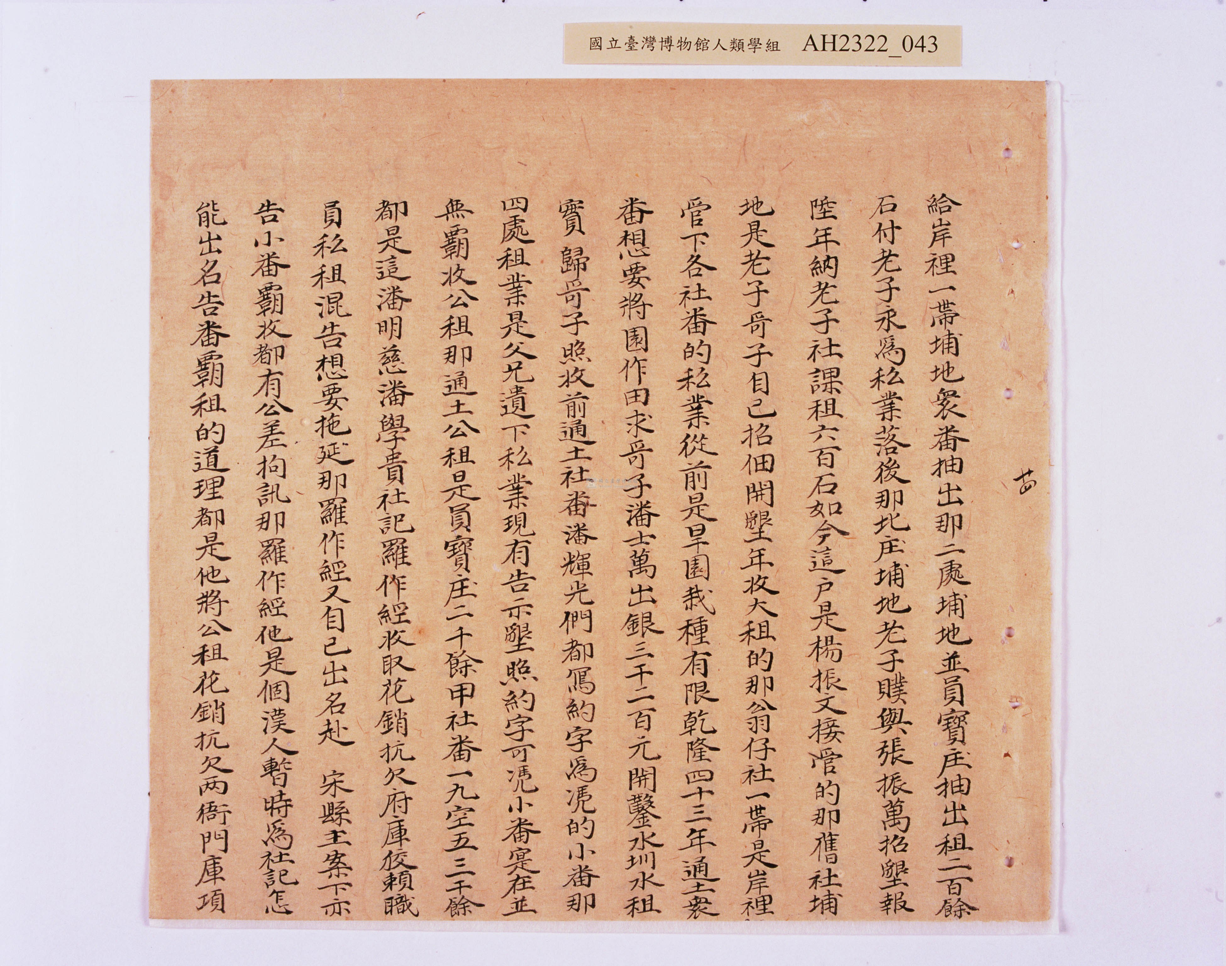大圖瀏覽