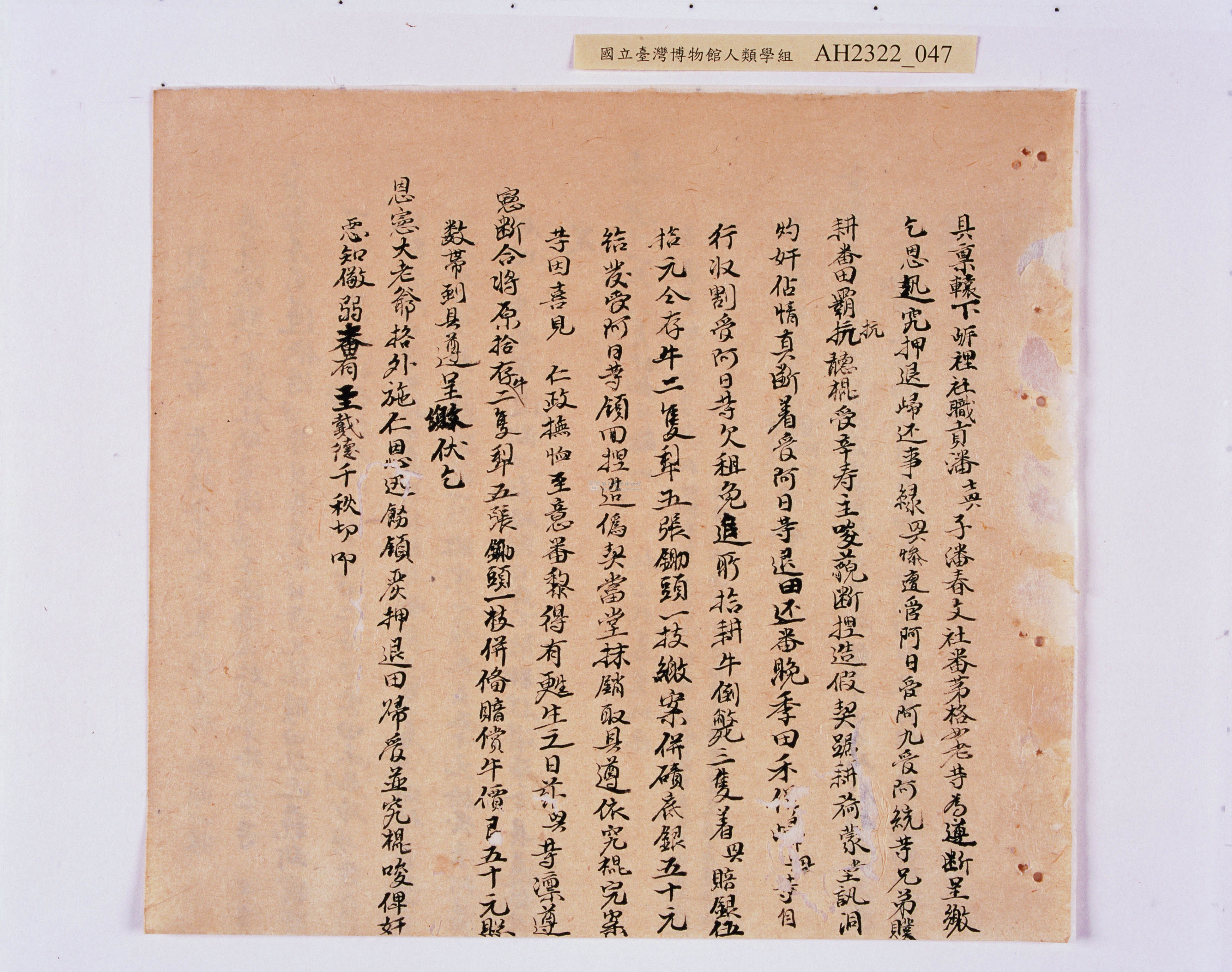 大圖瀏覽