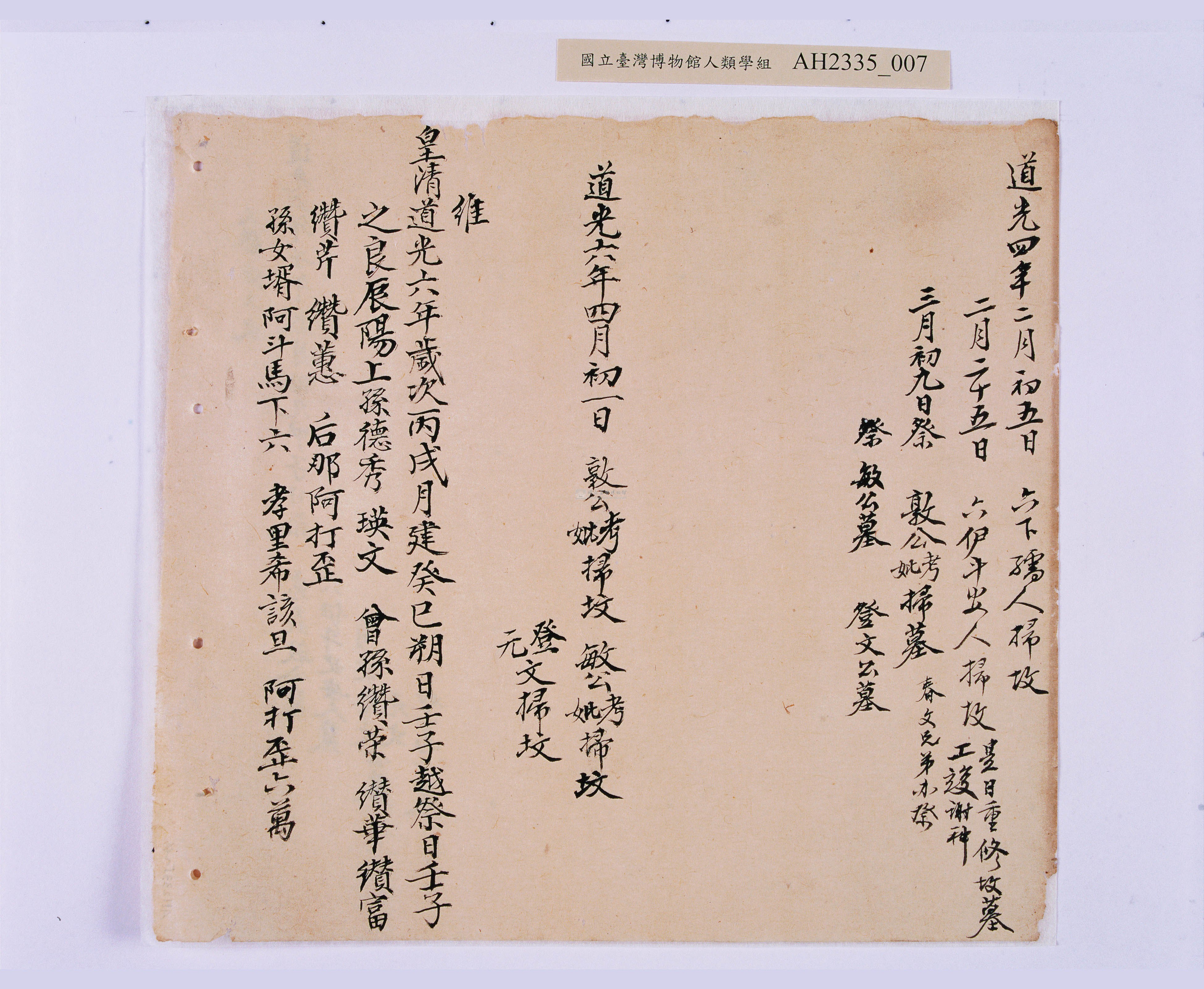 大圖瀏覽