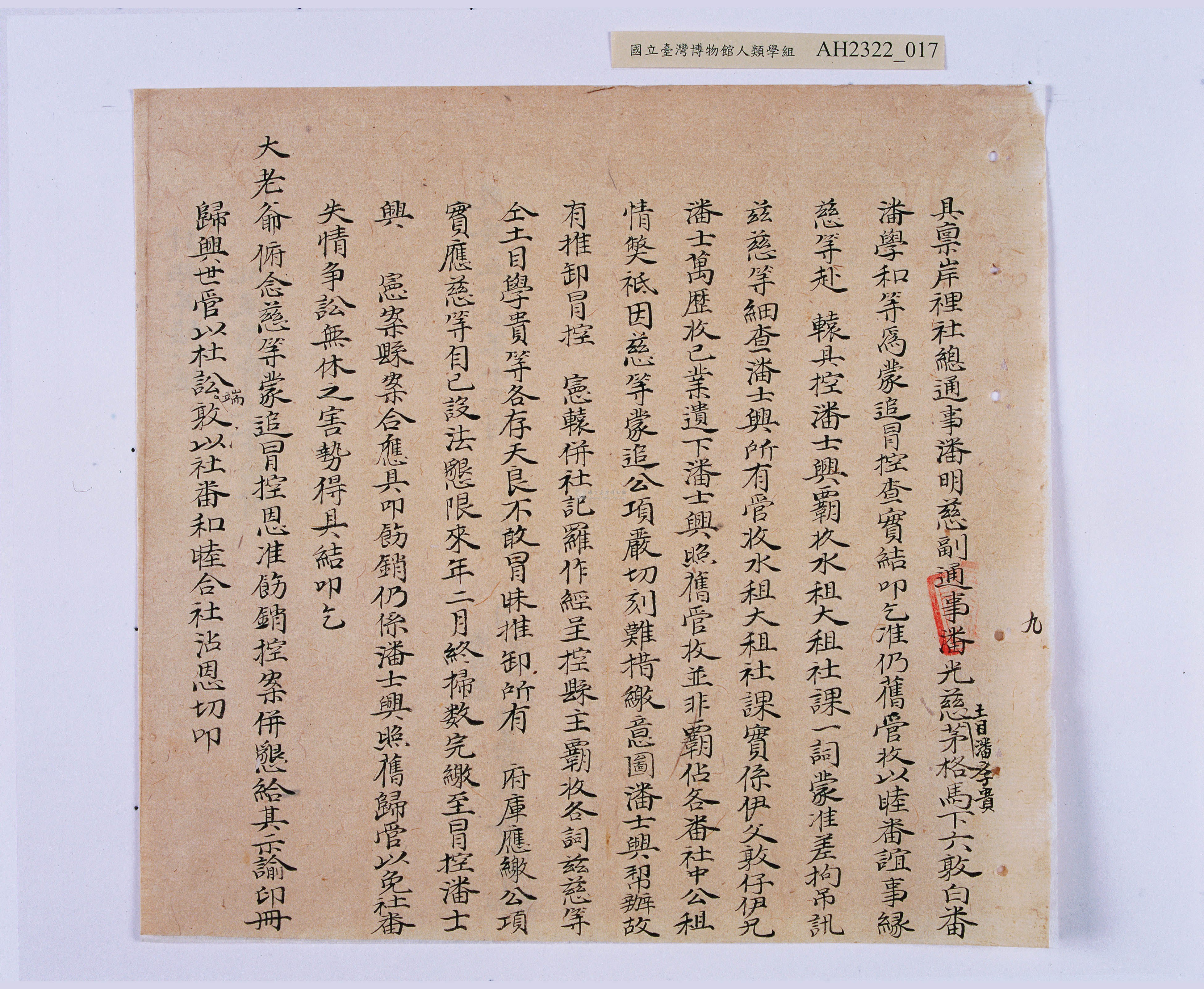 大圖瀏覽