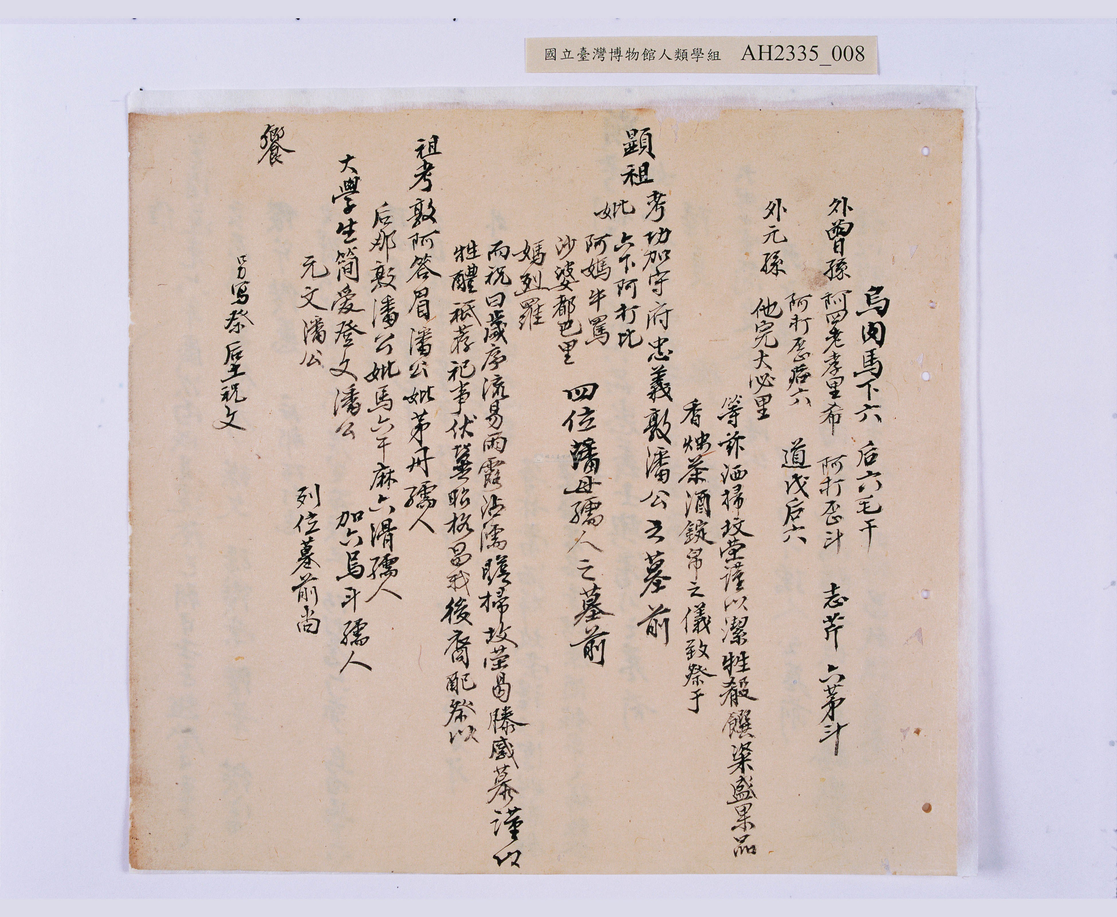 大圖瀏覽