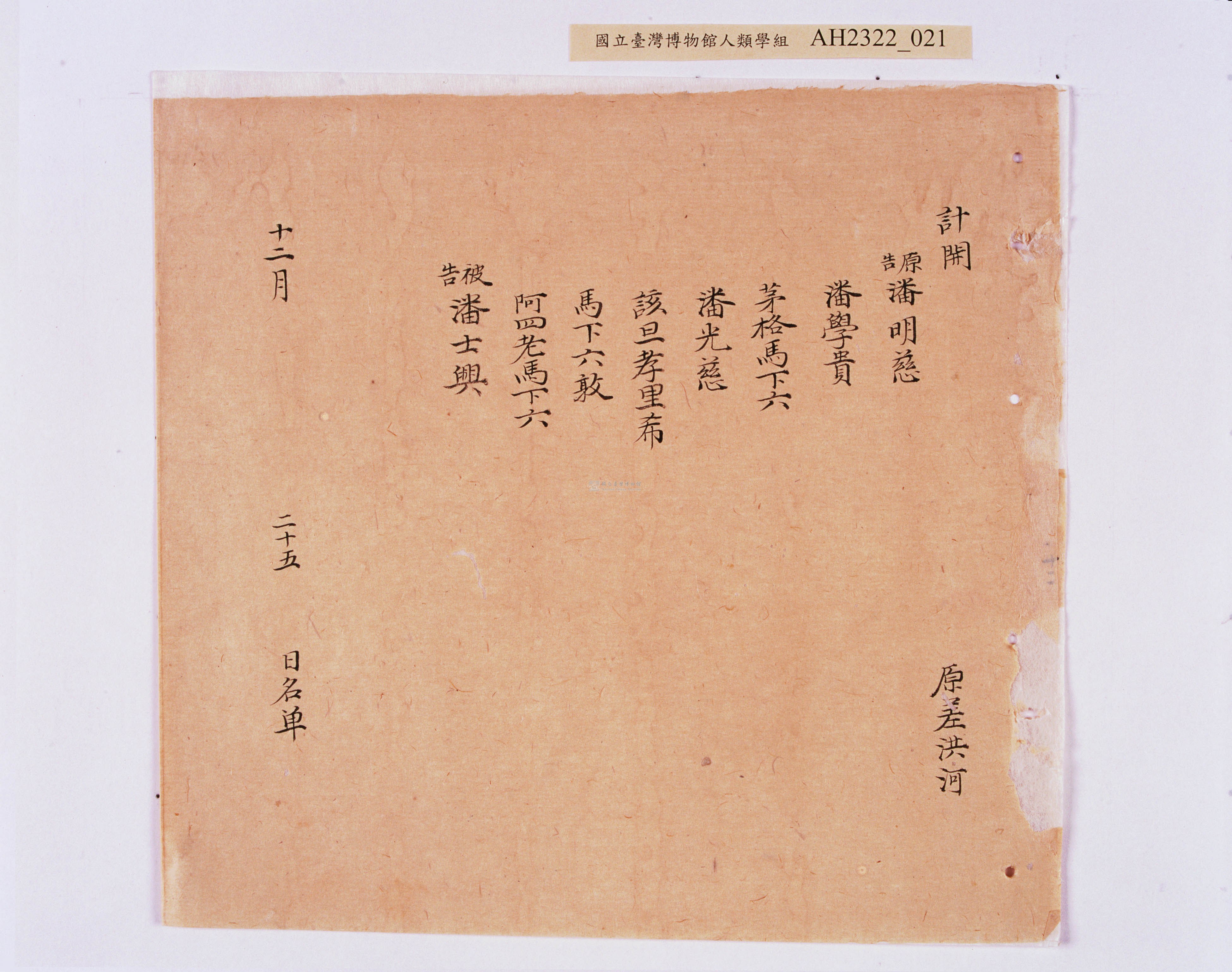 大圖瀏覽