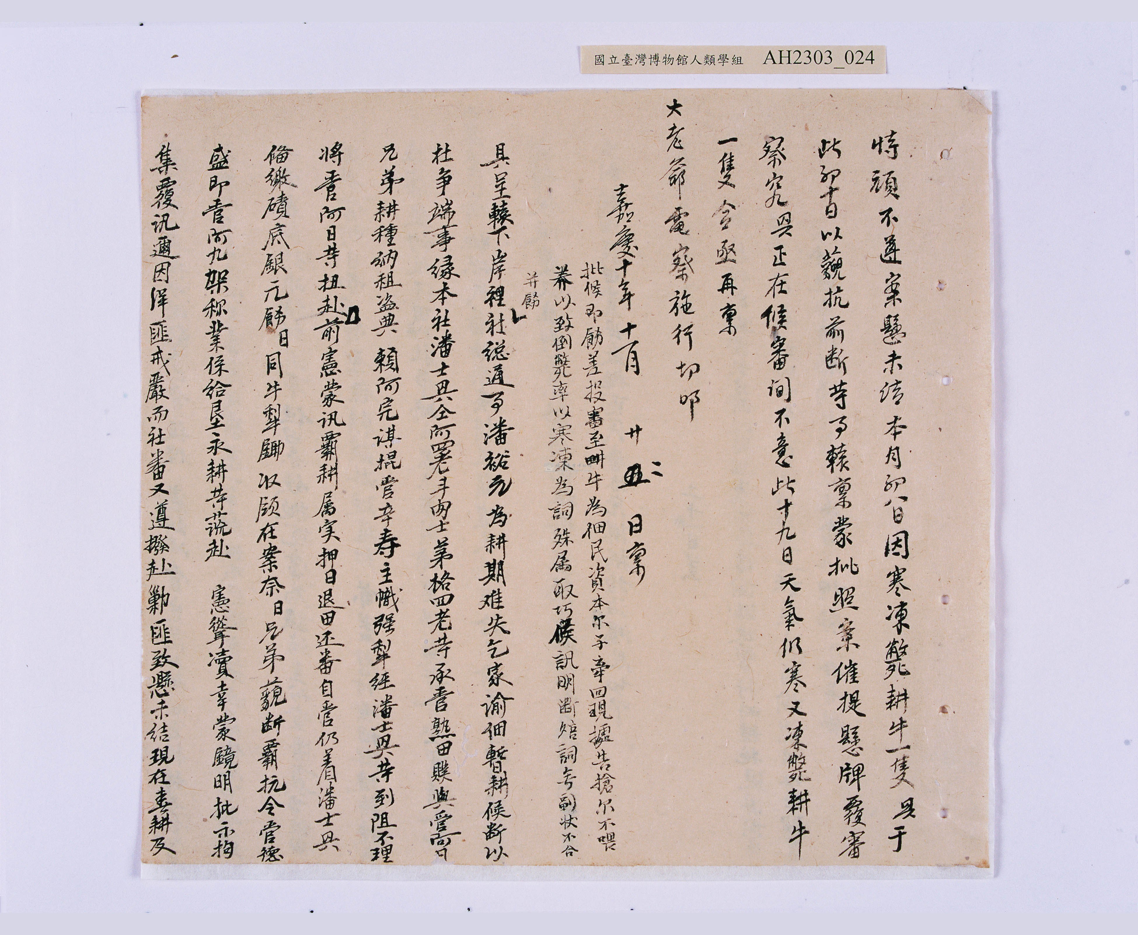 大圖瀏覽