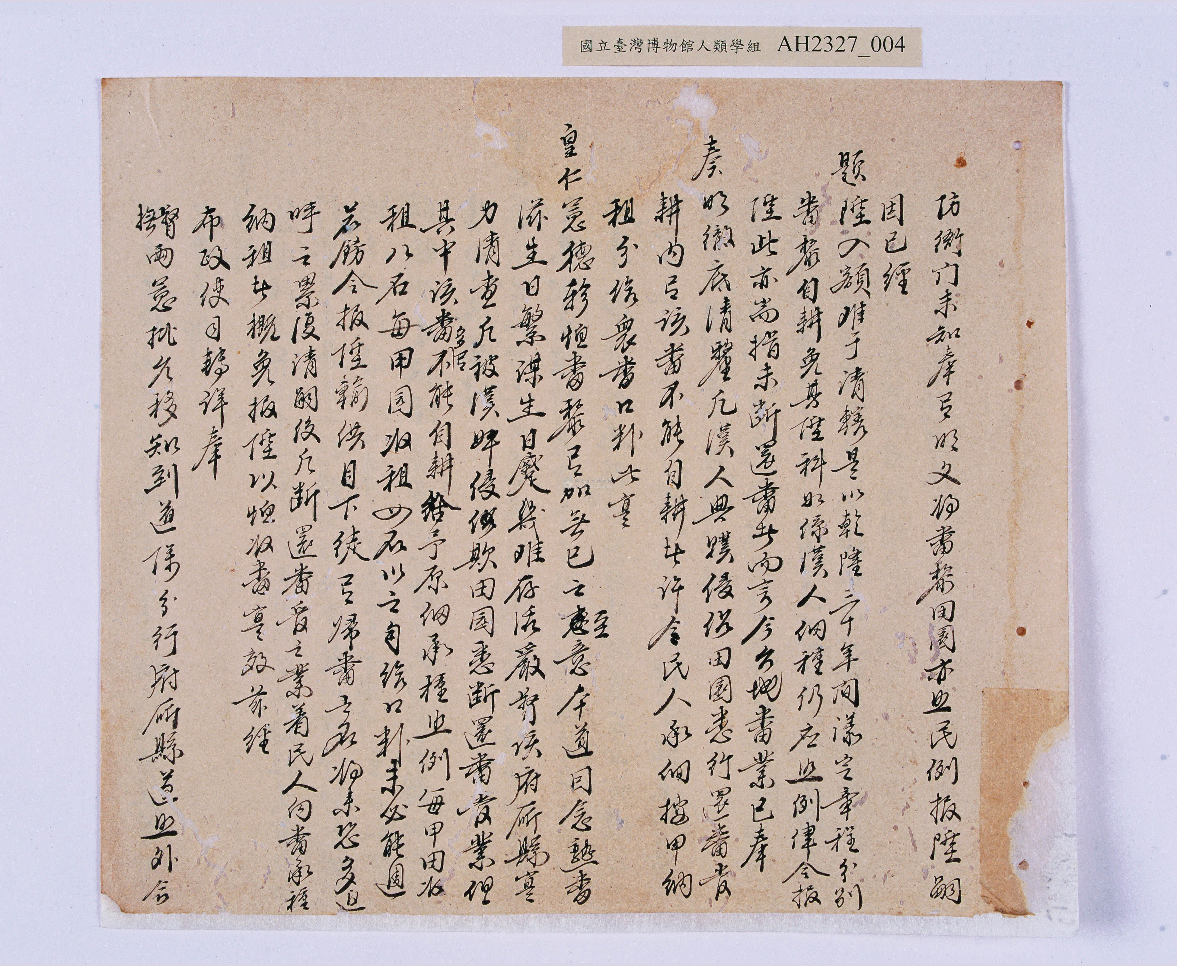 大圖瀏覽