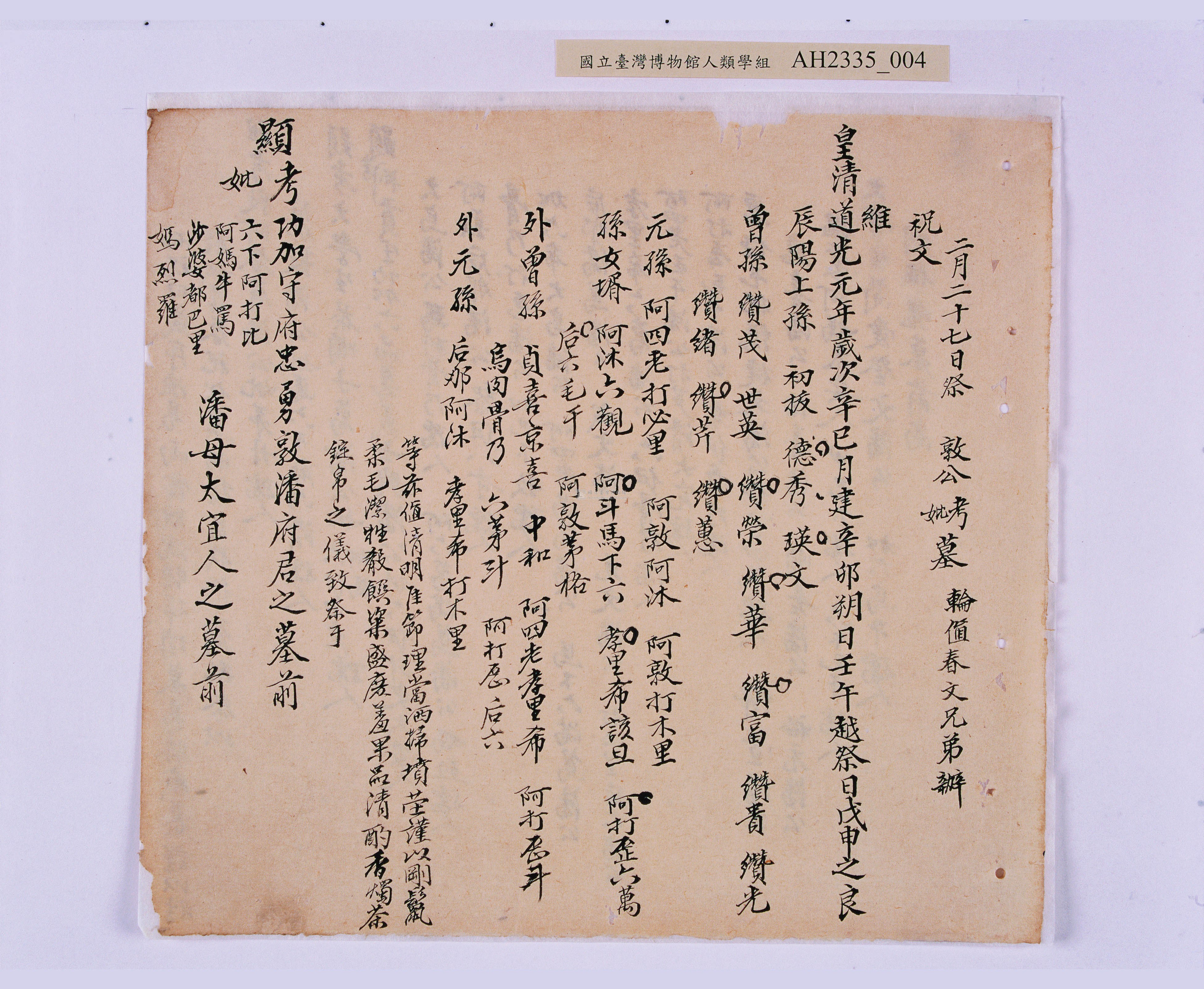 大圖瀏覽