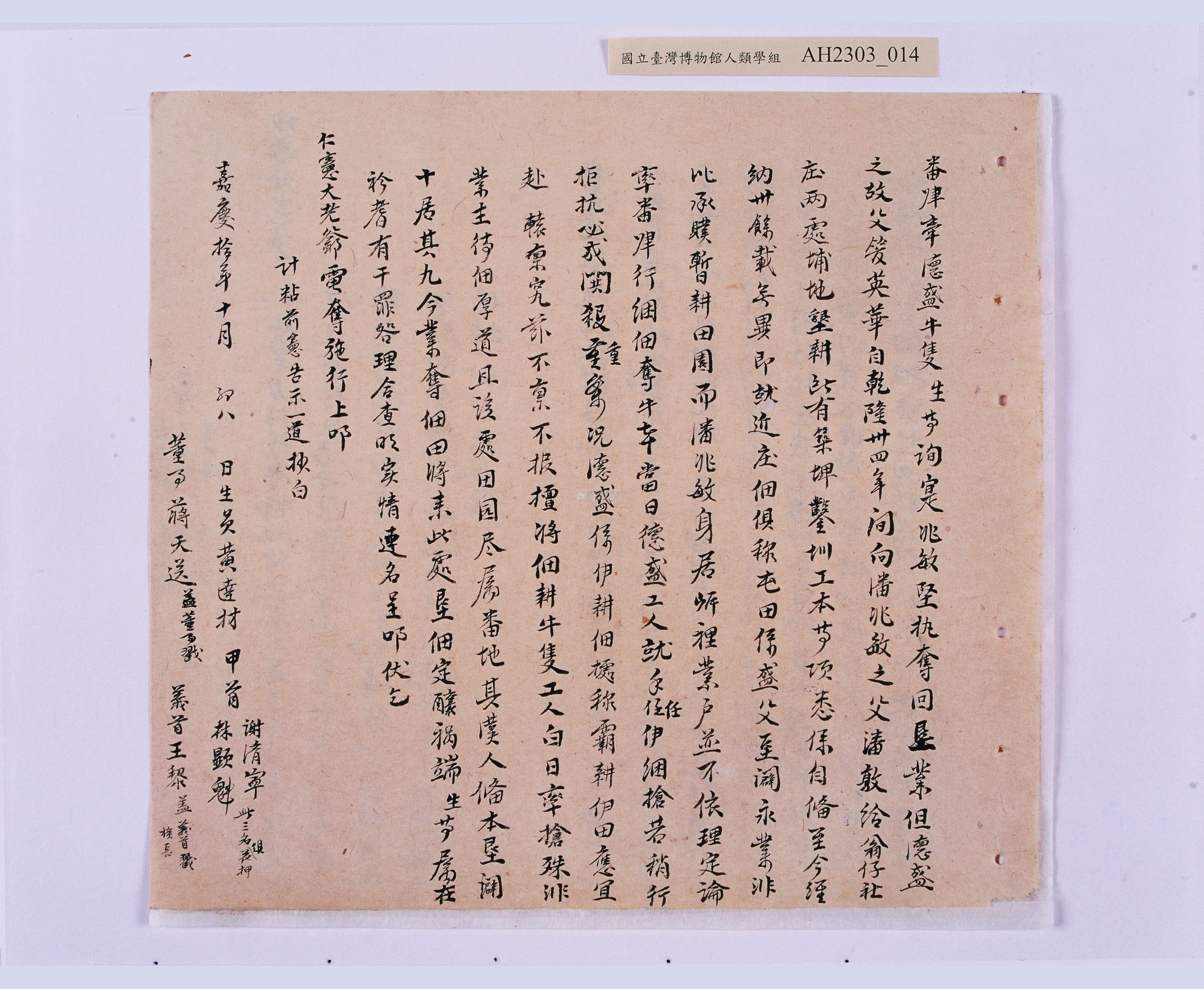 大圖瀏覽