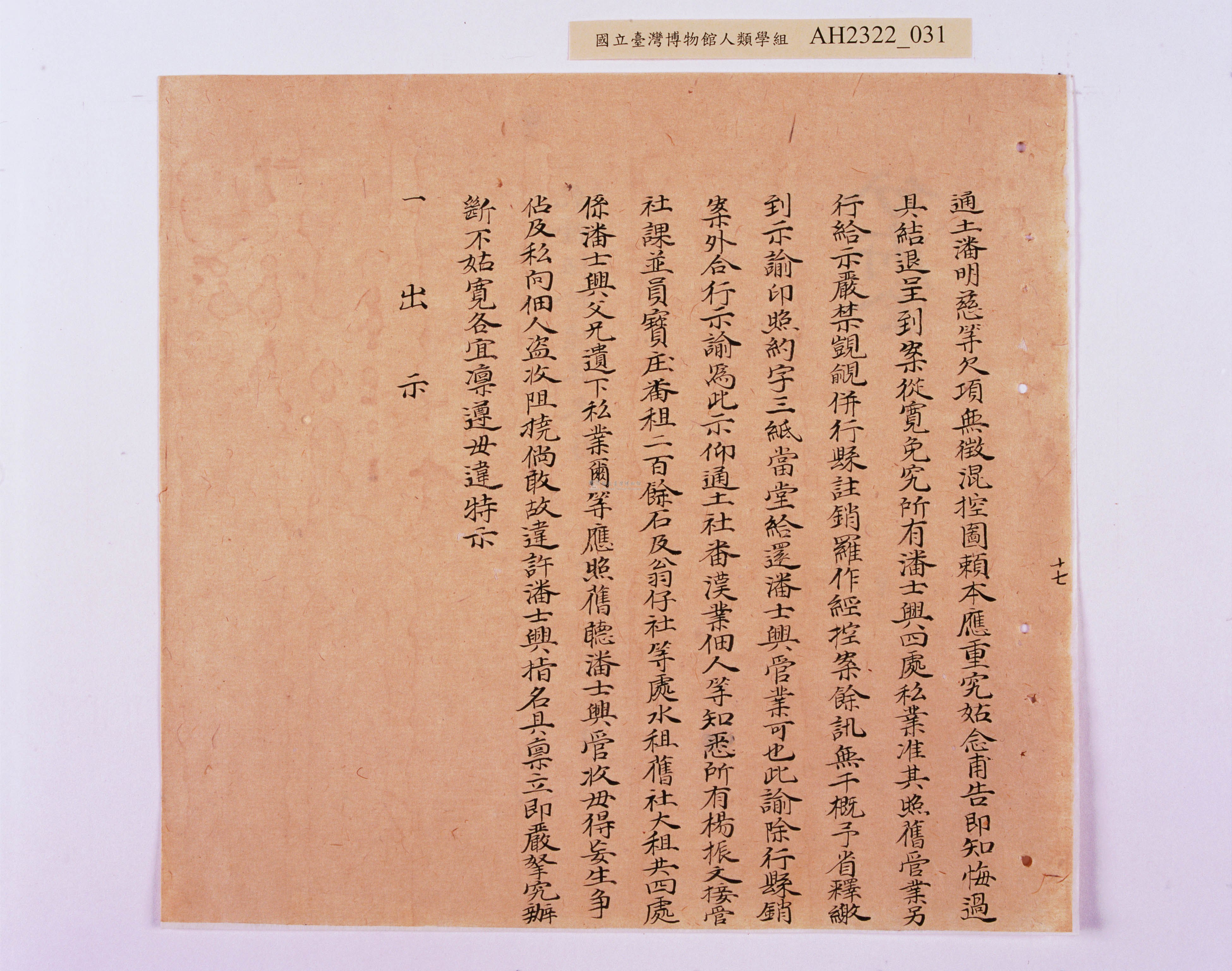 大圖瀏覽