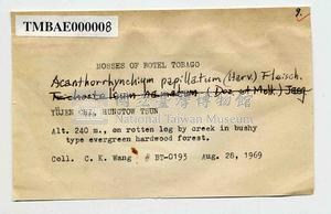 Acanthorrhynchium papillatum Collection Image, Figure 6, Total 10 Figures