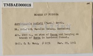 Aerobryopsis parisii (Card.) Broth. Collection Image, Figure 4, Total 8 Figures