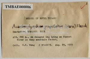 Acanthorrhynchium papillatum (Harv.) Fleisch. Collection Image, Figure 4, Total 8 Figures