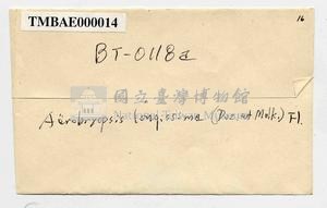 Aerobryopsis longissima Collection Image, Figure 3, Total 3 Figures