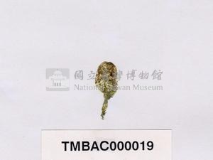 香蕉菜藏品圖，第3張