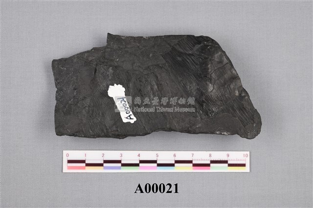 蘆木藏品圖，第4張