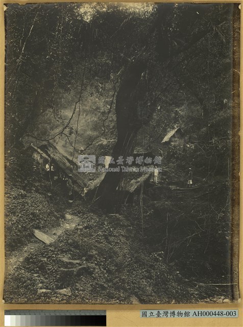 臺北州蘇澳郡南澳番地腦寮之景藏品圖，第1張