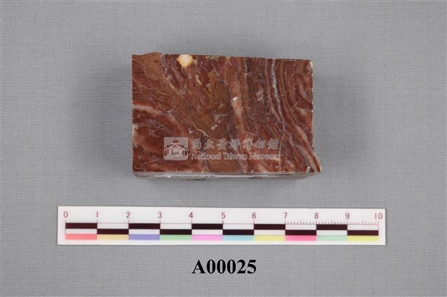 藻類化石藏品圖，第1張