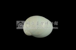 相模灣玉螺藏品圖，第2張