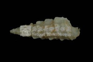 太平洋蟹守螺藏品圖，第2張