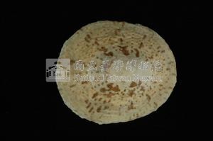 斗笠螺藏品圖，第2張