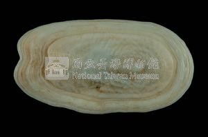 鴨嘴螺藏品圖，第2張