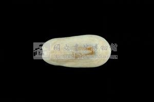 鴨嘴螺藏品圖，第2張